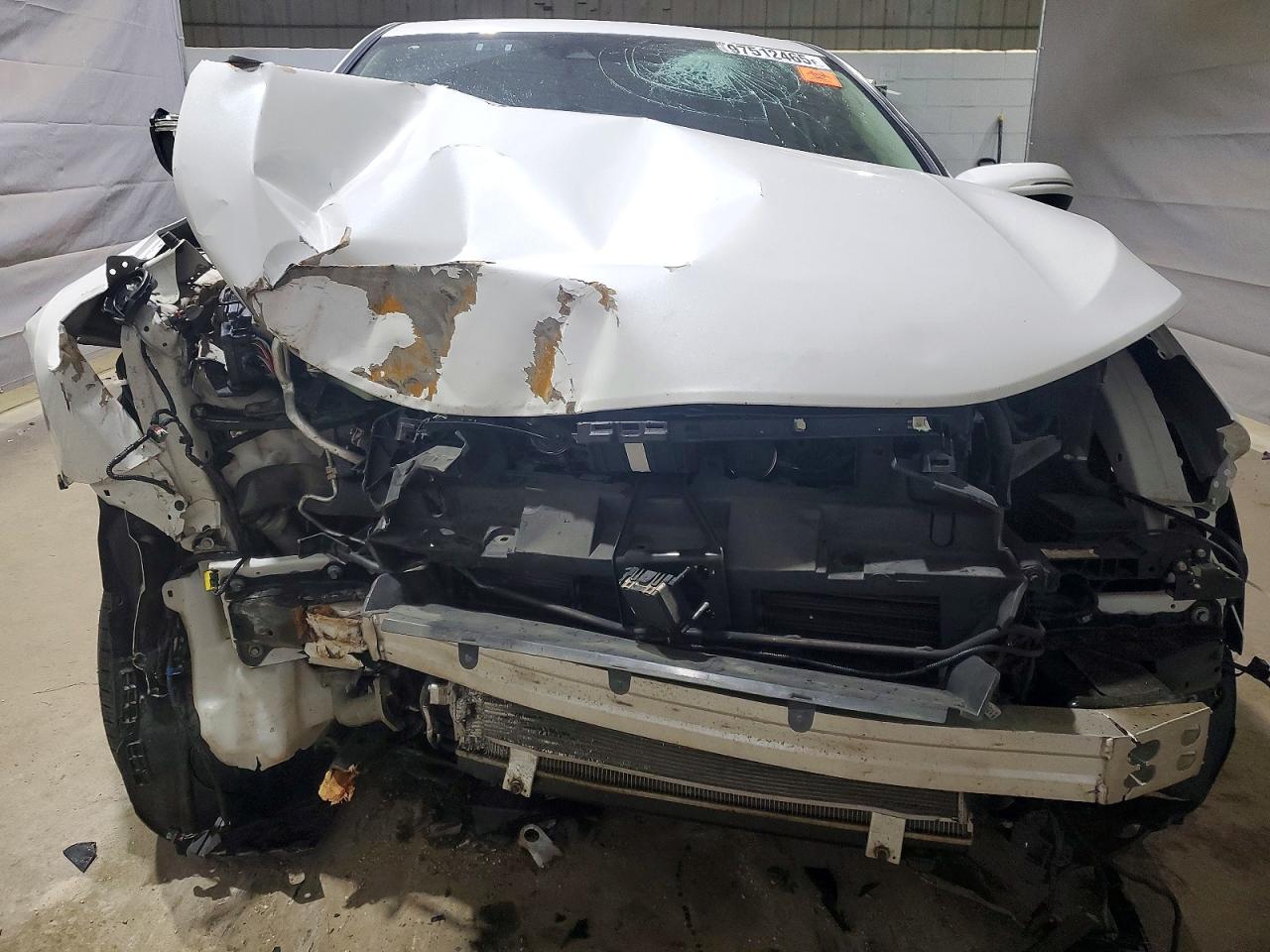 2019 HONDA CR-V EXL photo 5