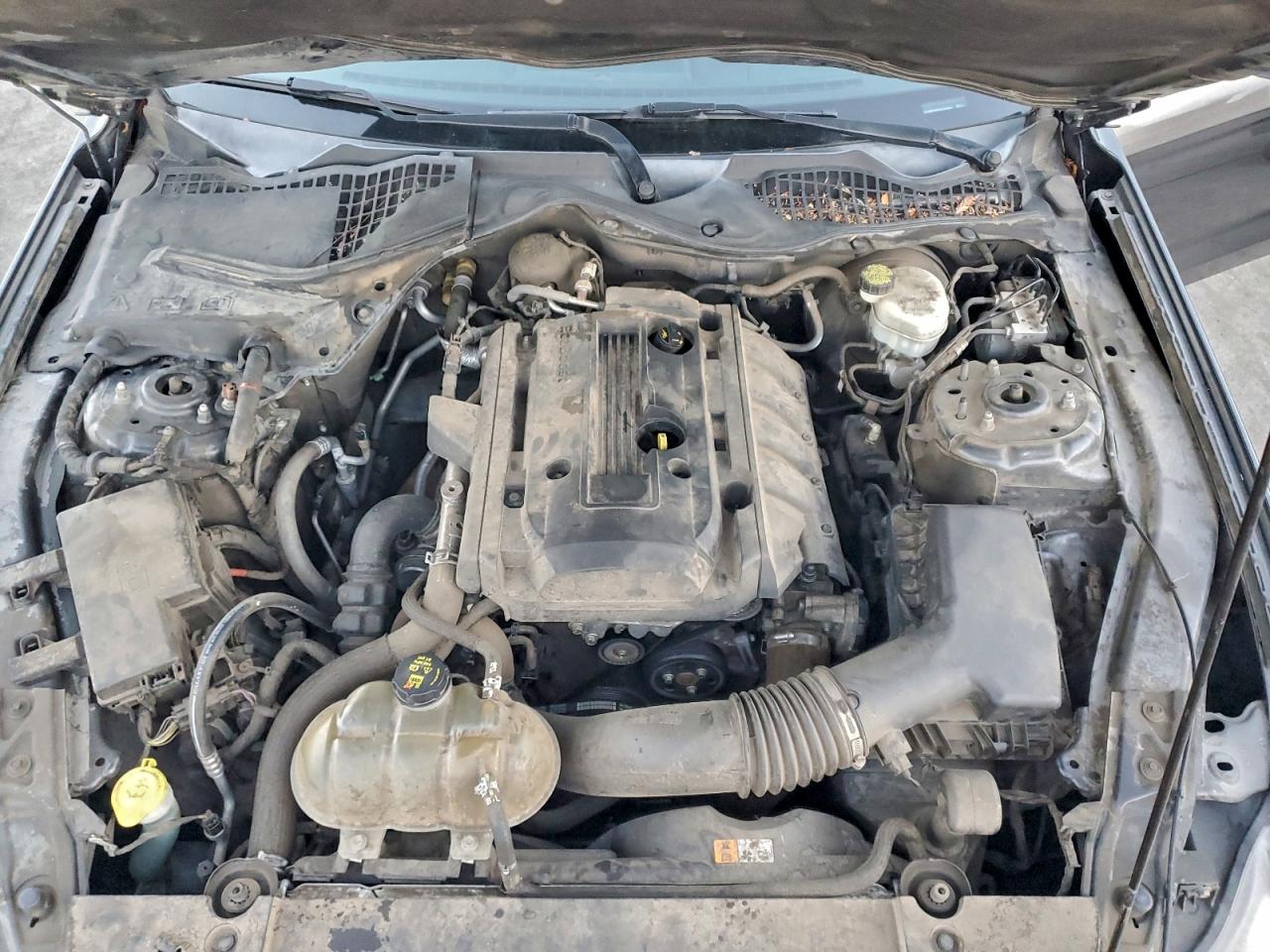 2015 FORD MUSTANG photo 11