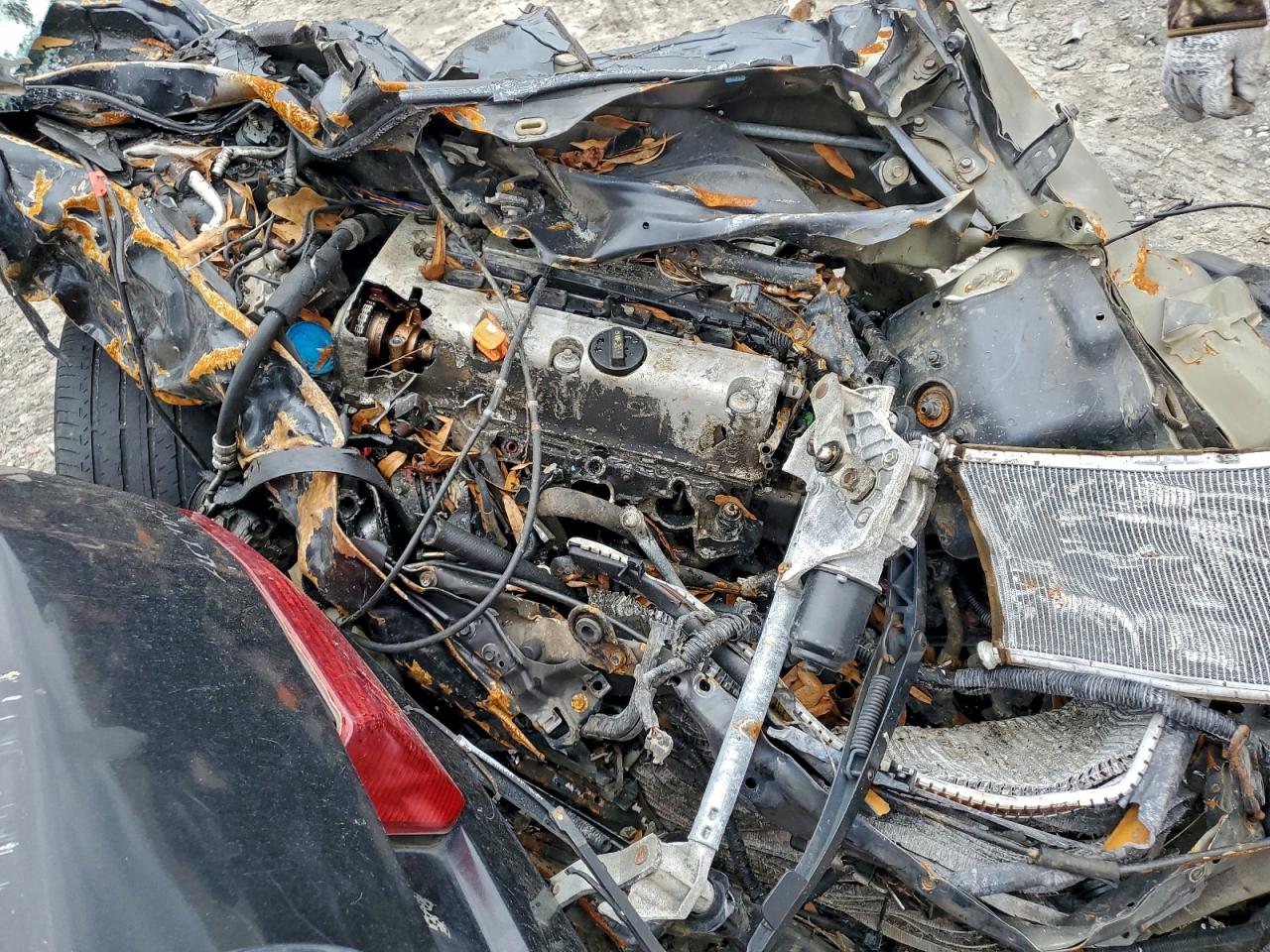 2005 HONDA ACCORD EX photo 11