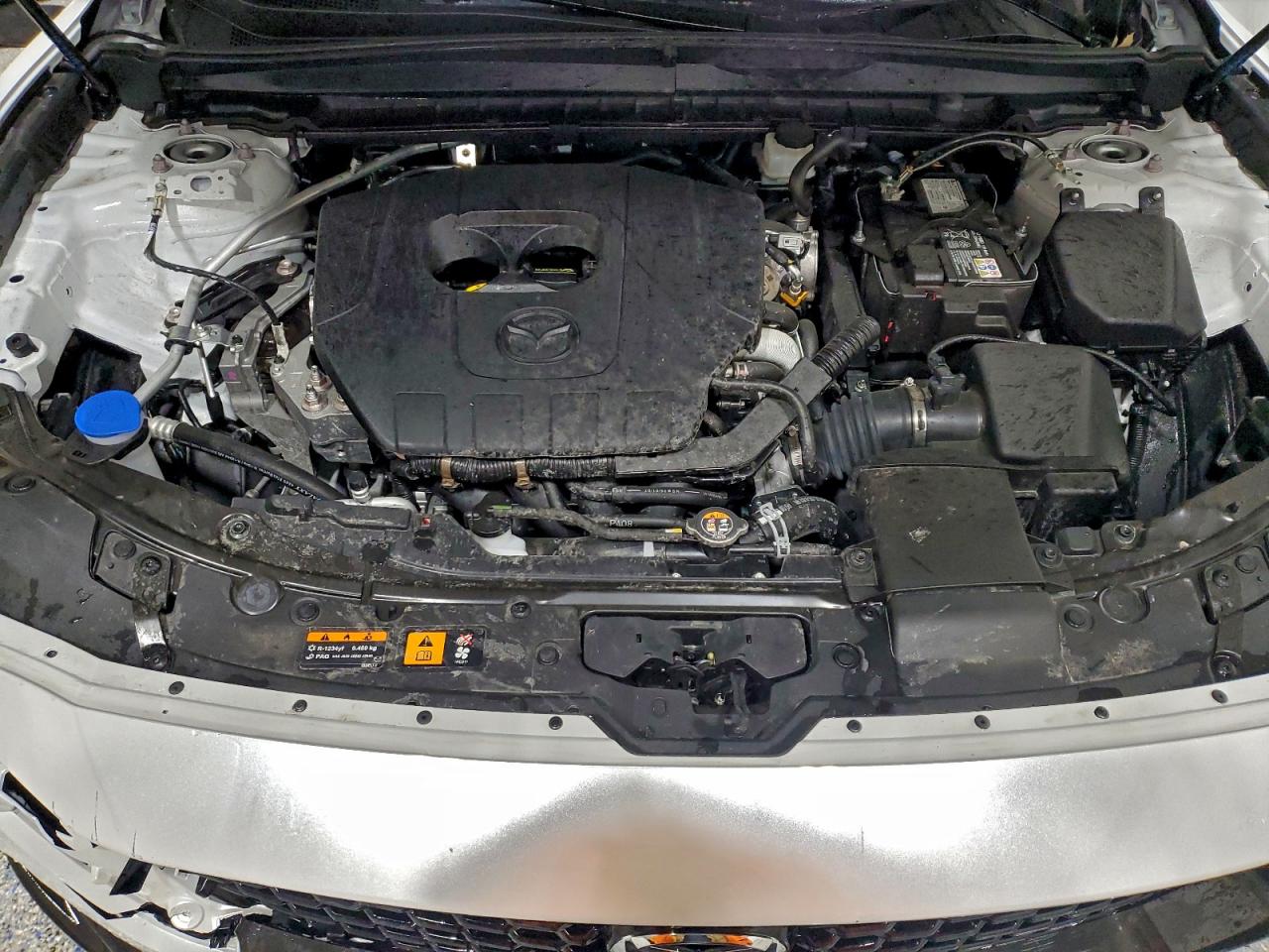 2025 MAZDA CX-50 PREMIUM PLUS photo 12