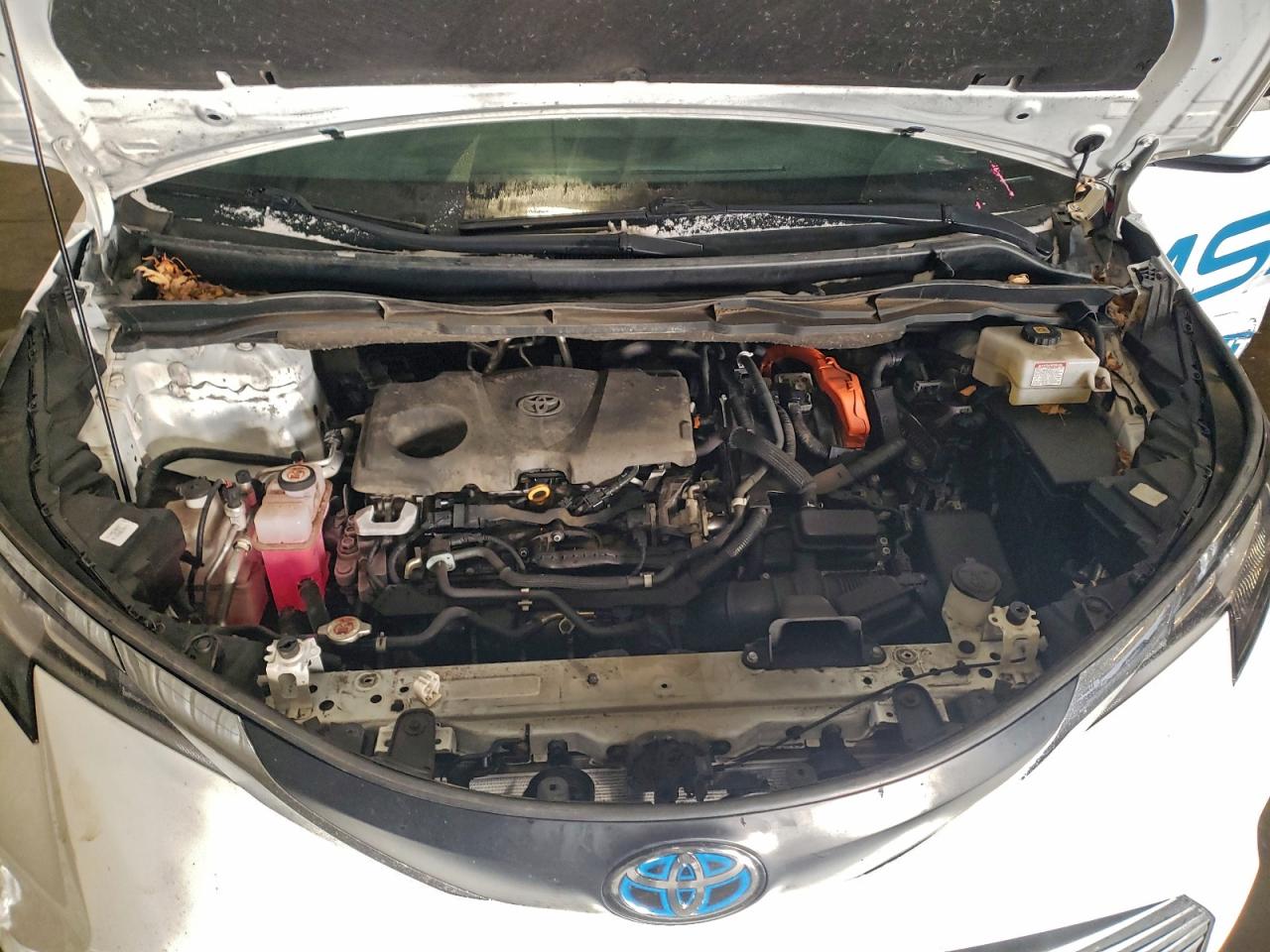 2021 TOYOTA SIENNA LE photo 12
