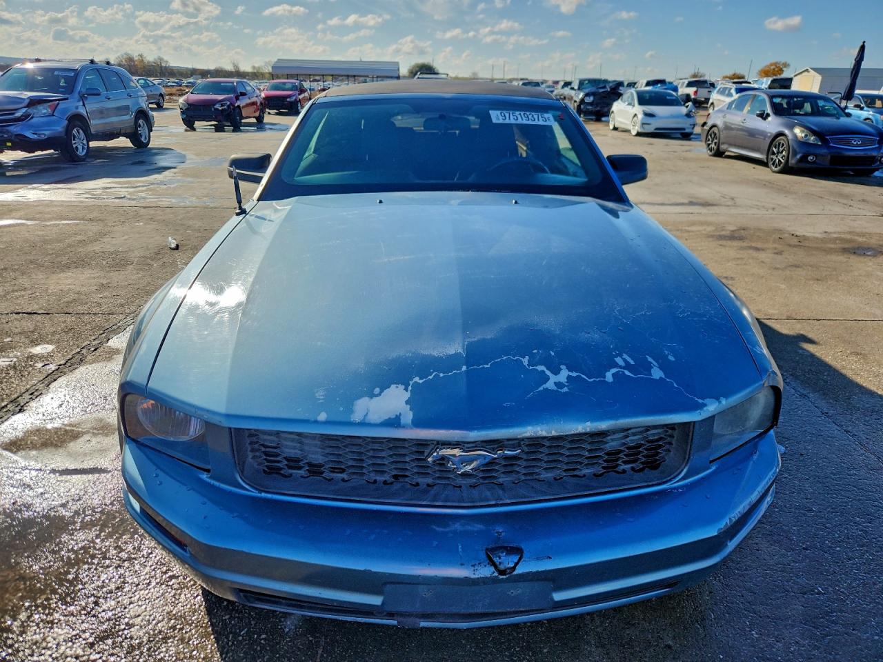 2006 FORD MUSTANG photo 5