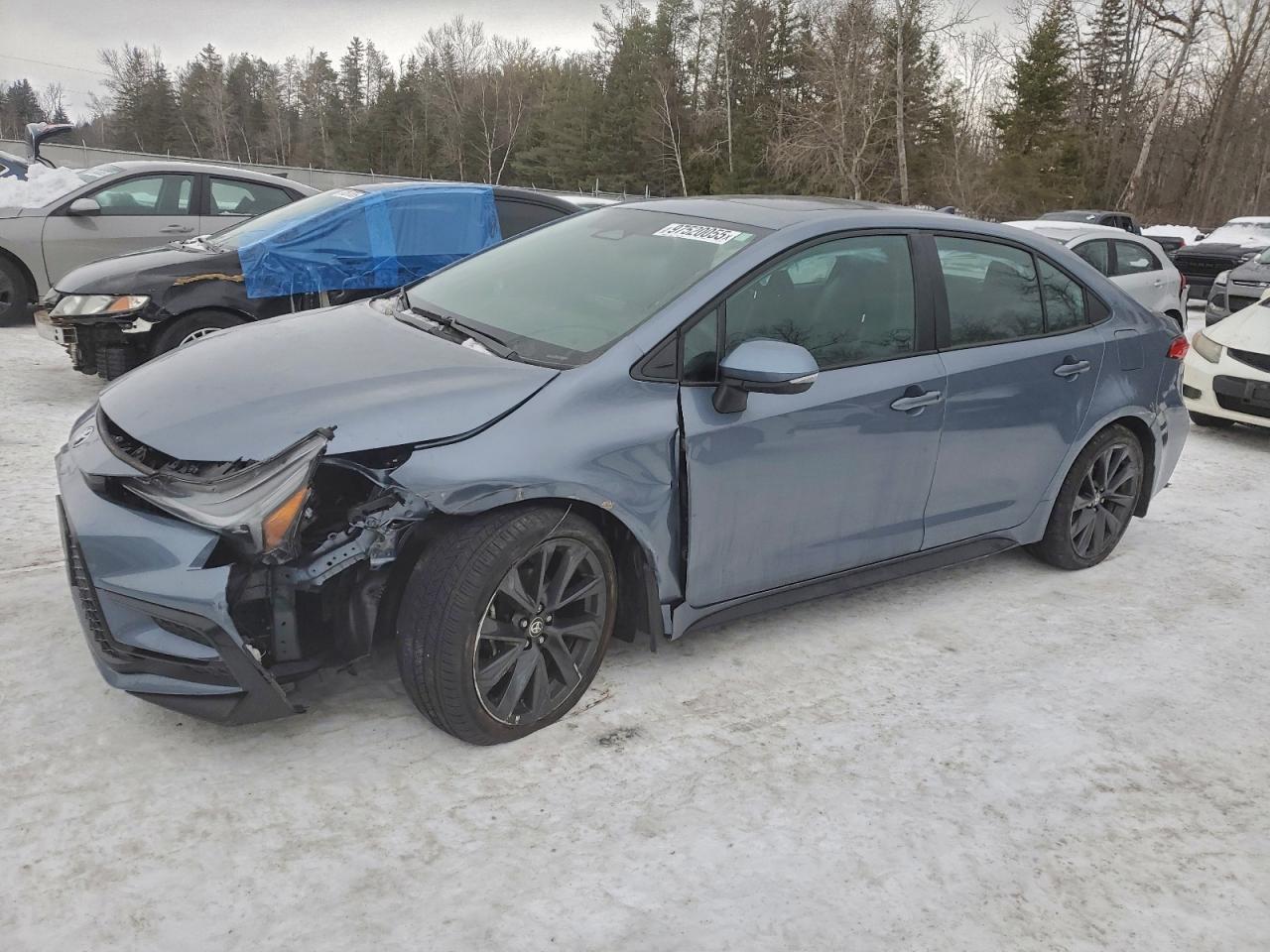 2024 TOYOTA COROLLA
