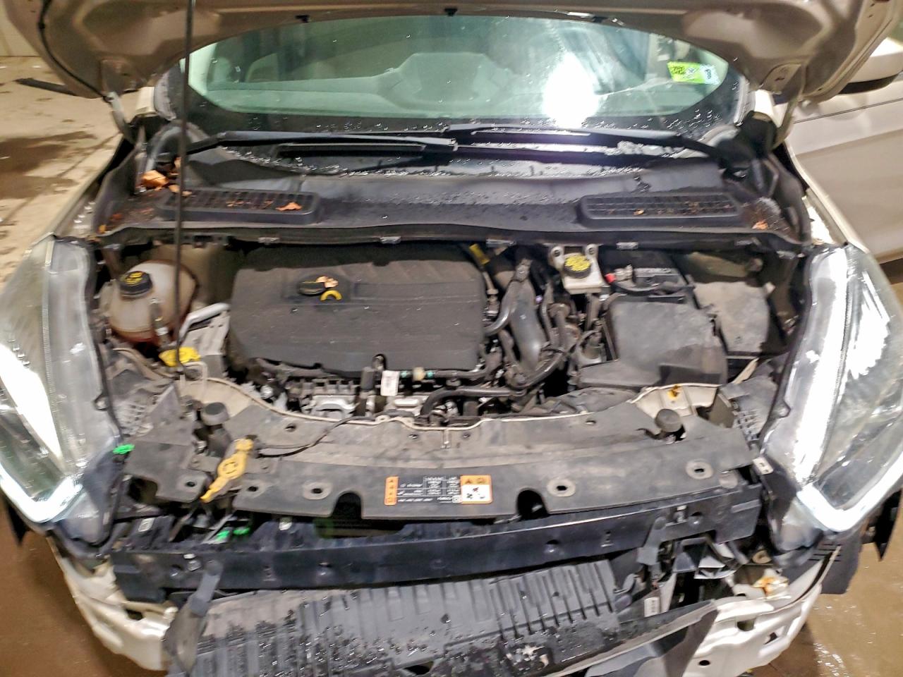 2017 FORD ESCAPE SE photo 12