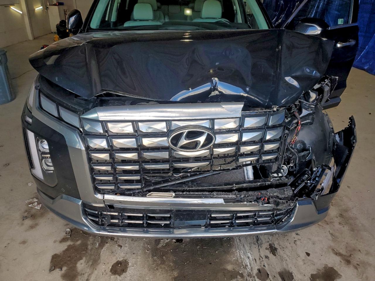 2024 HYUNDAI PALISADE CALLIGRAPHY photo 34
