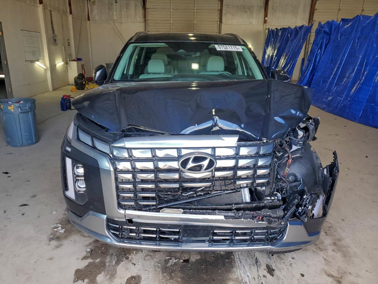 2024 HYUNDAI PALISADE CALLIGRAPHY photo 13
