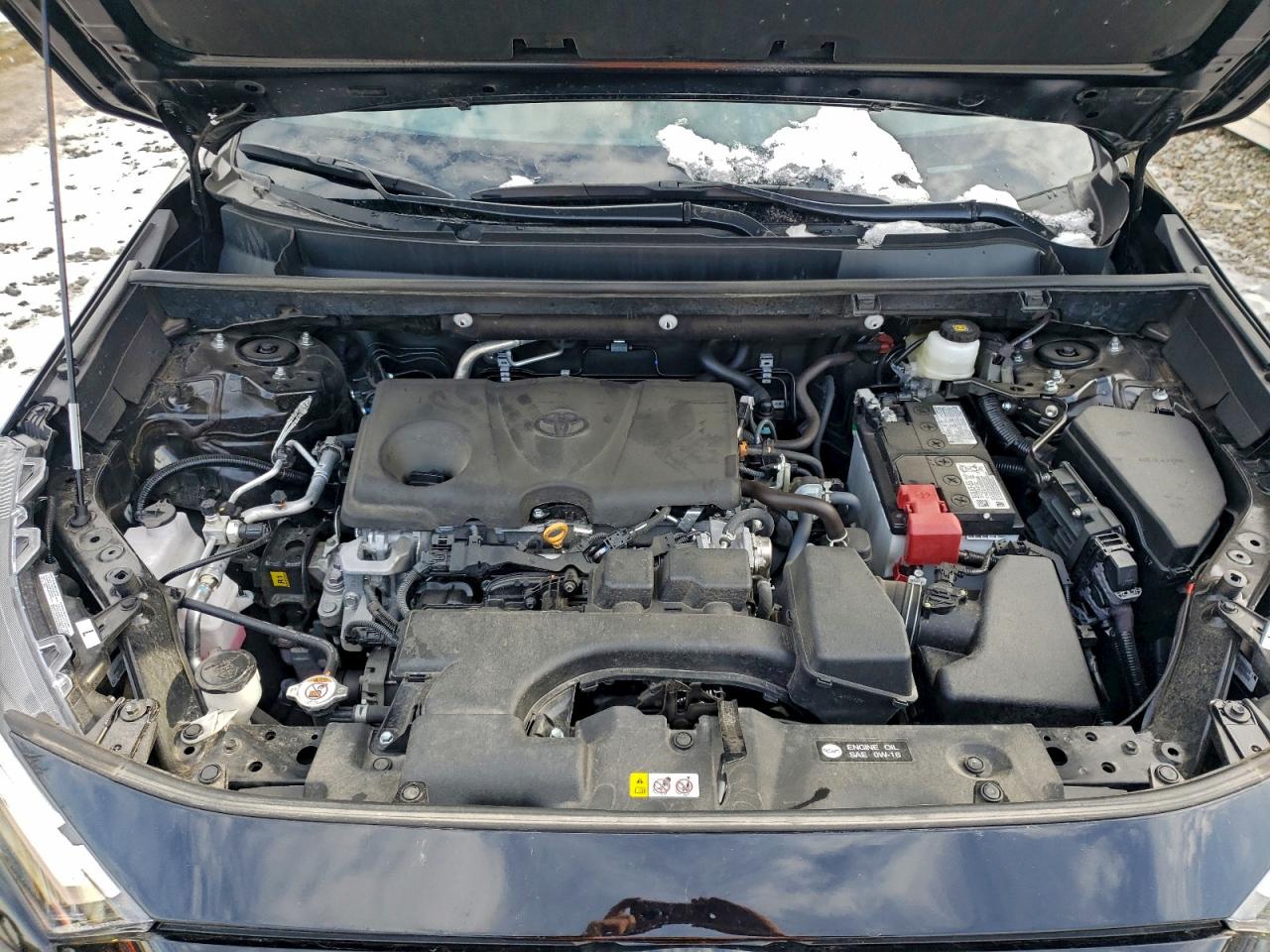 2025 TOYOTA RAV4 LE photo 12