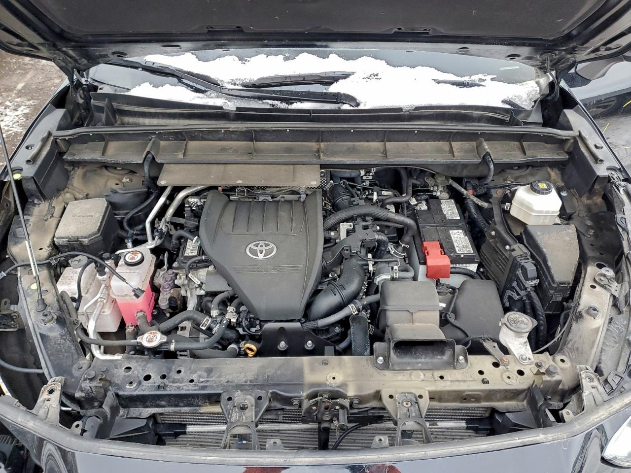 2023 TOYOTA HIGHLANDER L photo 12