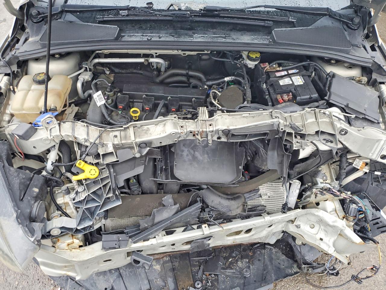 2015 FORD FOCUS SE photo 11