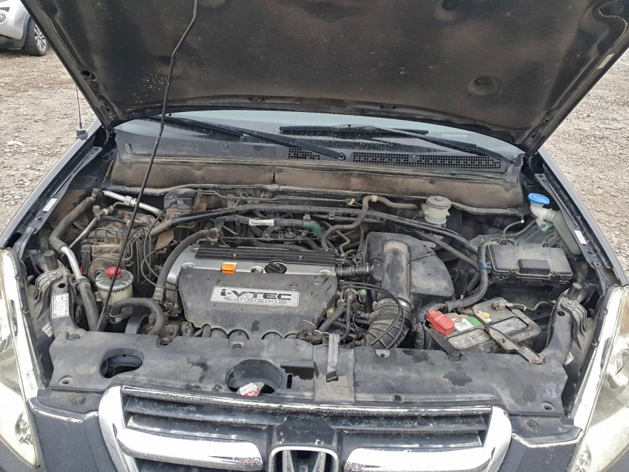 2004 HONDA CR-V EX photo 11