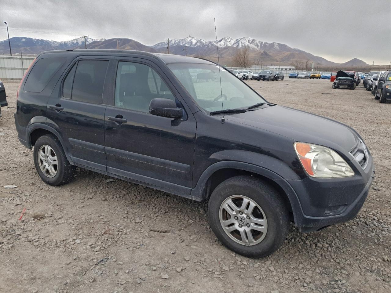 2004 HONDA CR-V EX photo 4