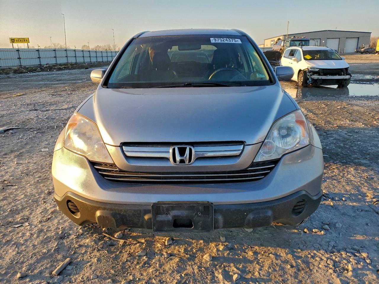 2008 HONDA CR-V EXL photo 5