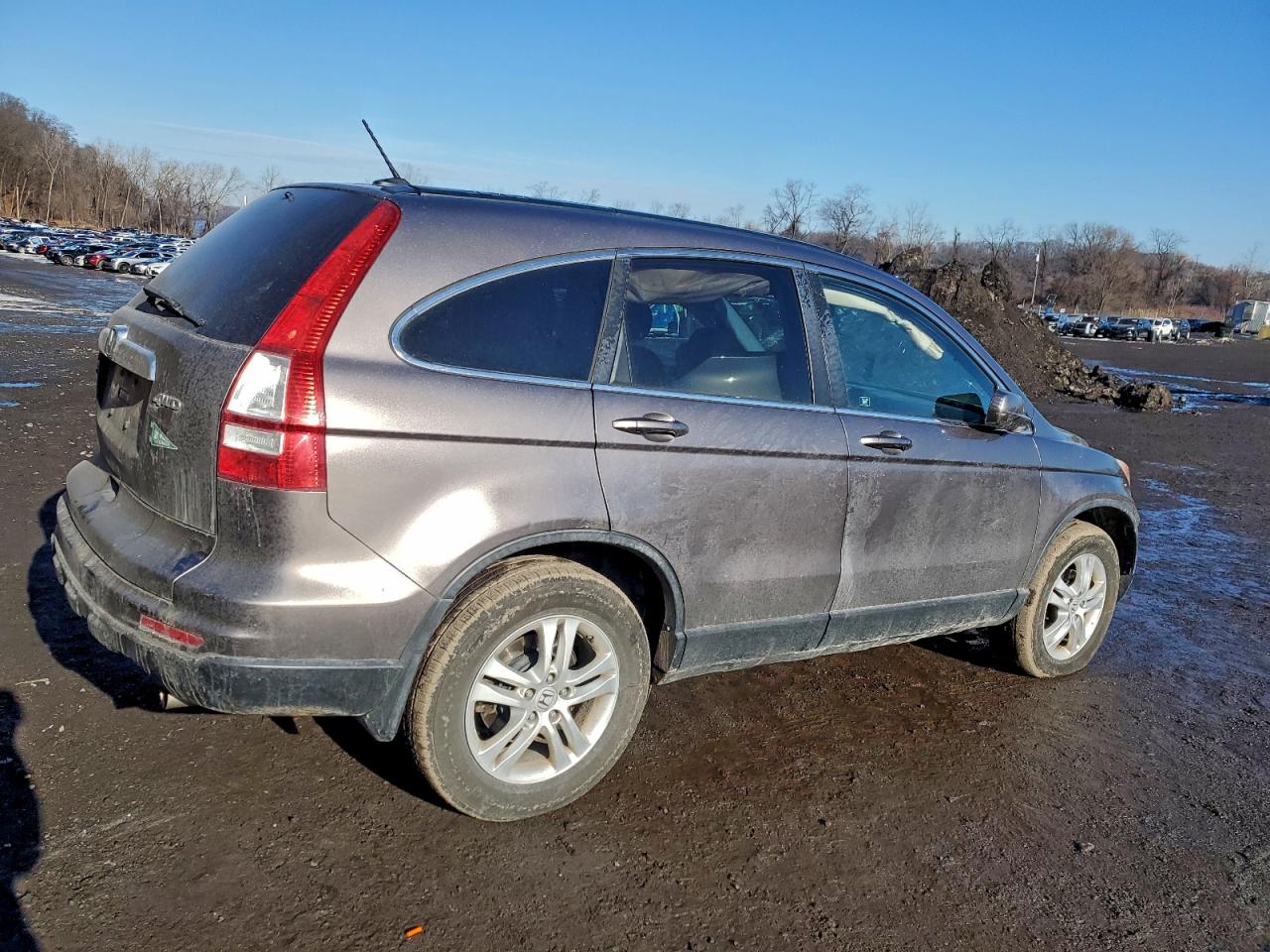 2011 HONDA CR-V EXL photo 3