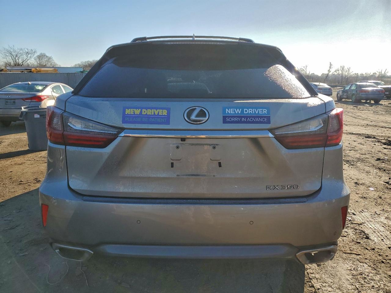 2019 LEXUS RX 350 BASE photo 6