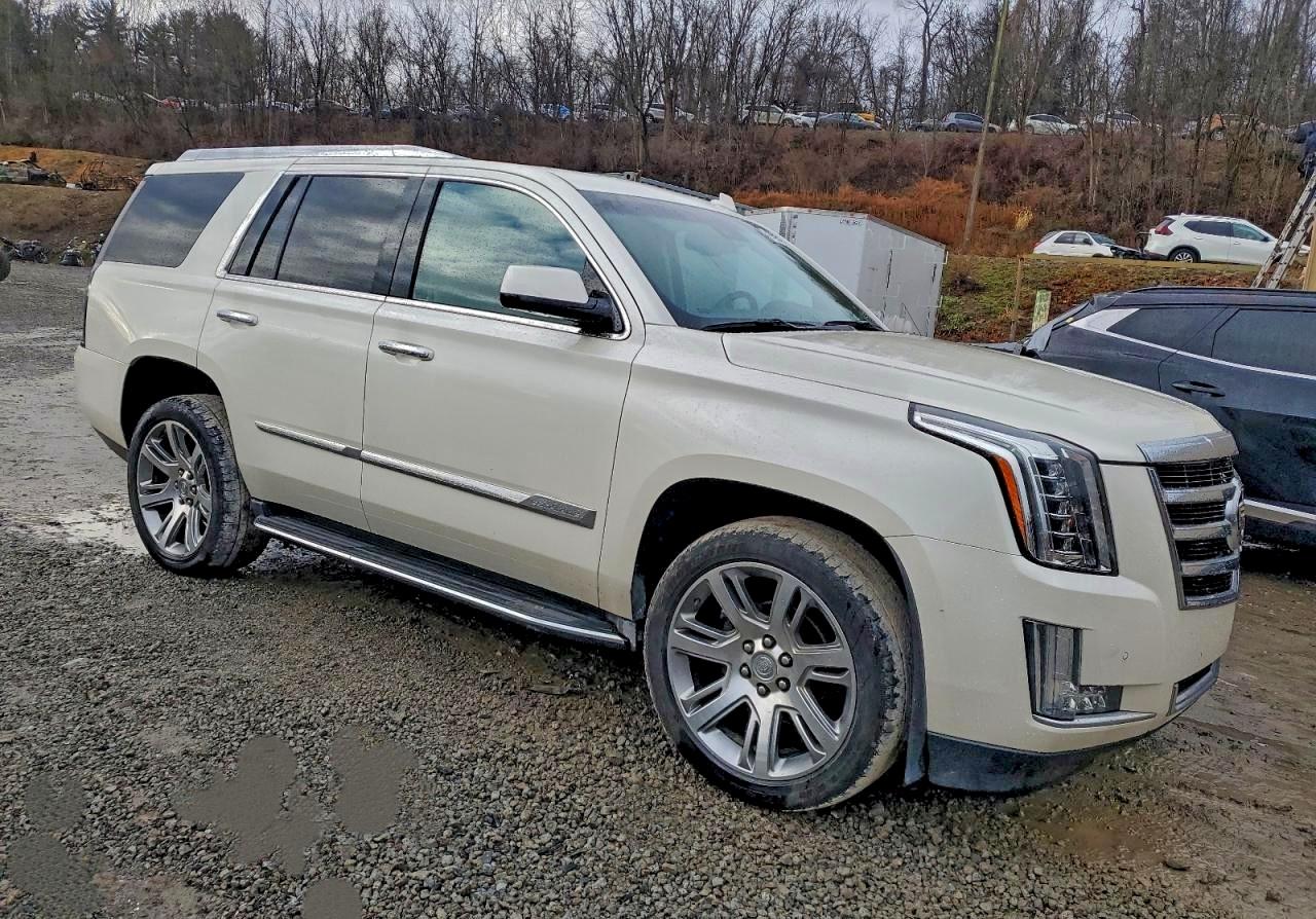 2015 CADILLAC ESCALADE LUXURY photo 4