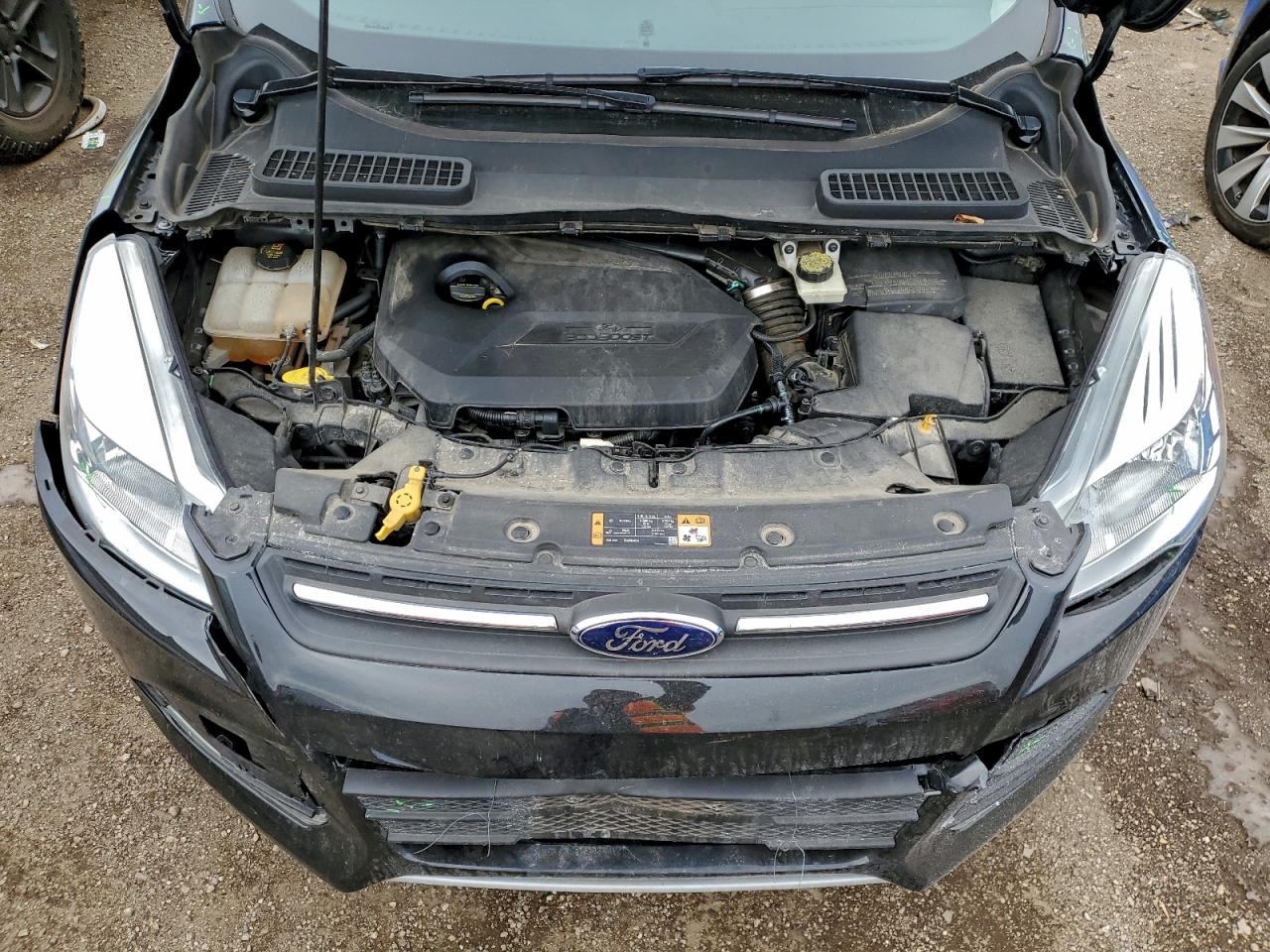 2014 FORD ESCAPE SE photo 11