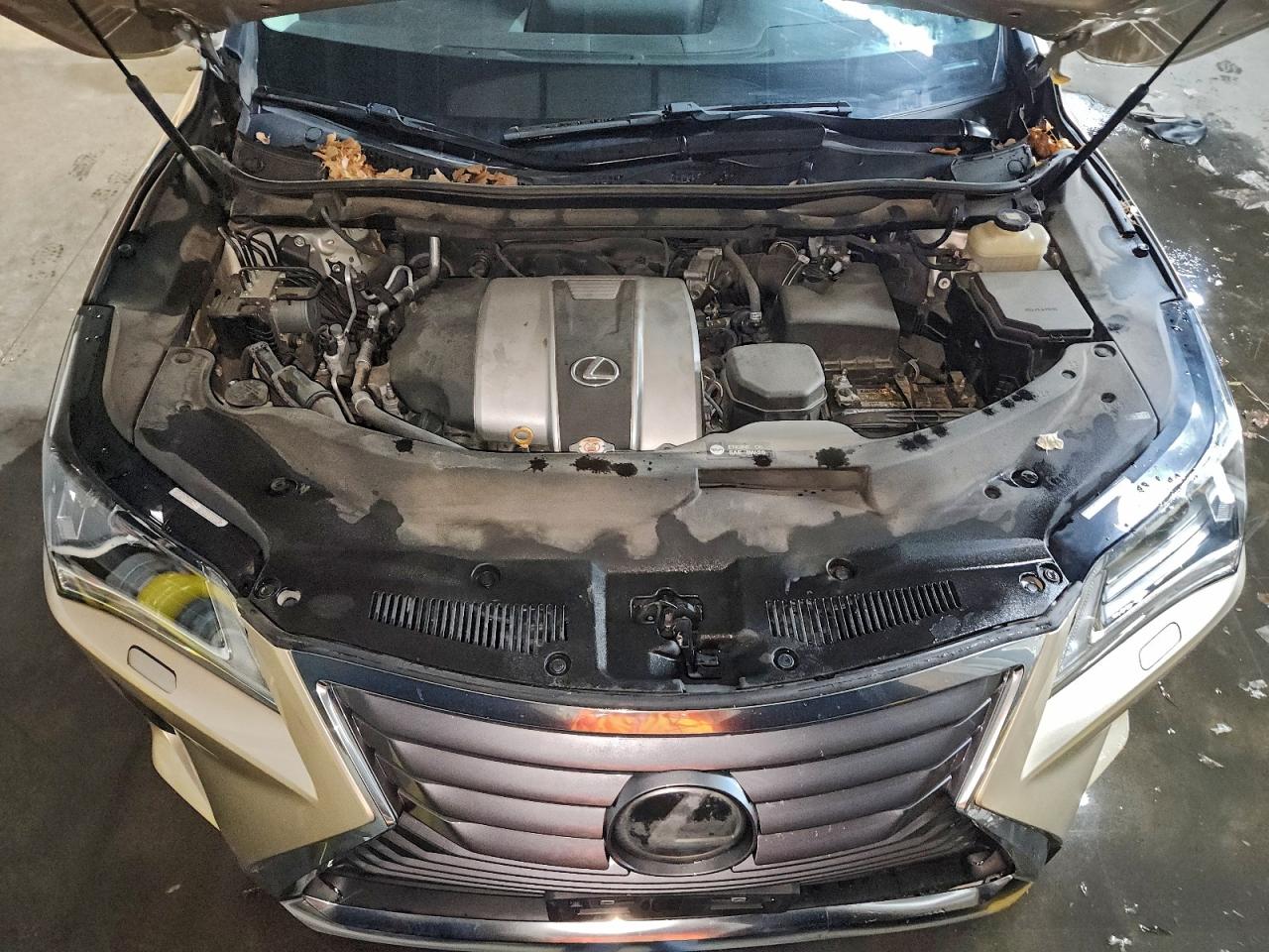 2017 LEXUS RX 350 BASE photo 12
