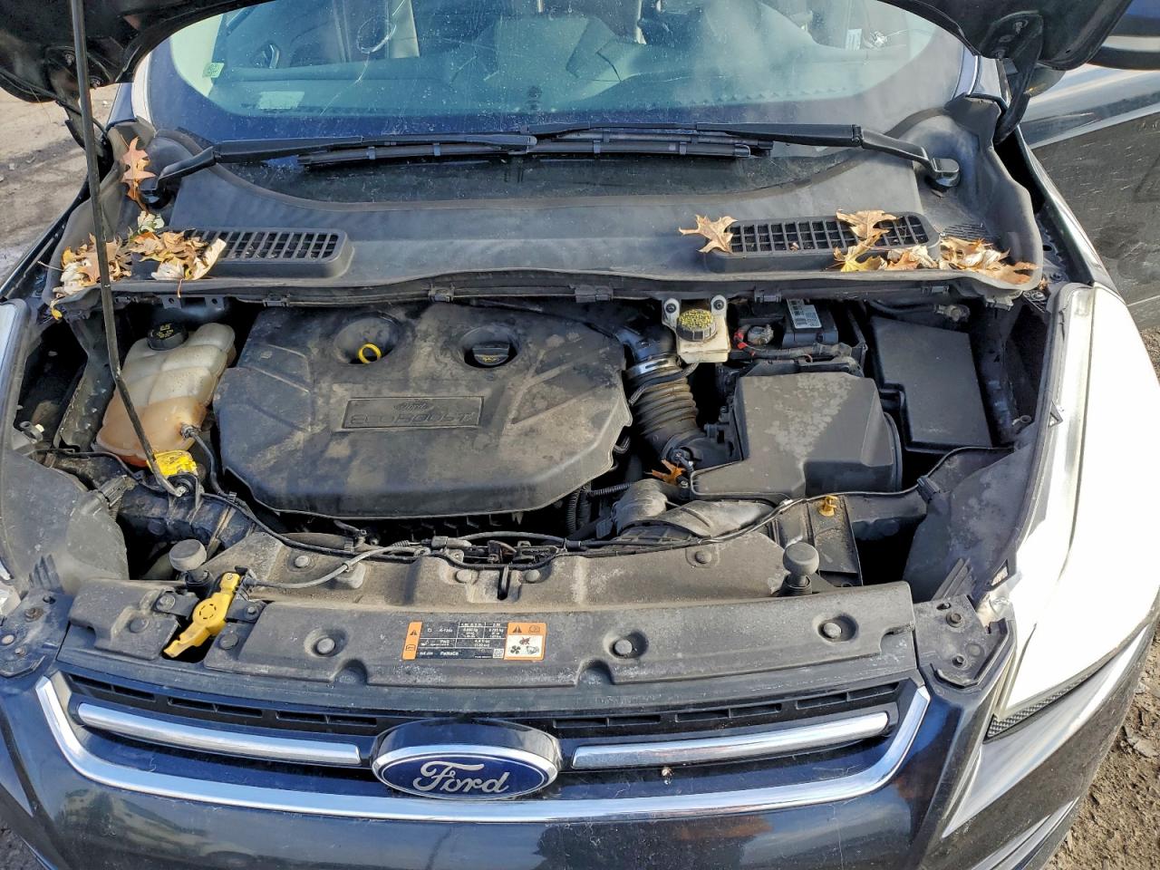 2014 FORD ESCAPE TITANIUM photo 12