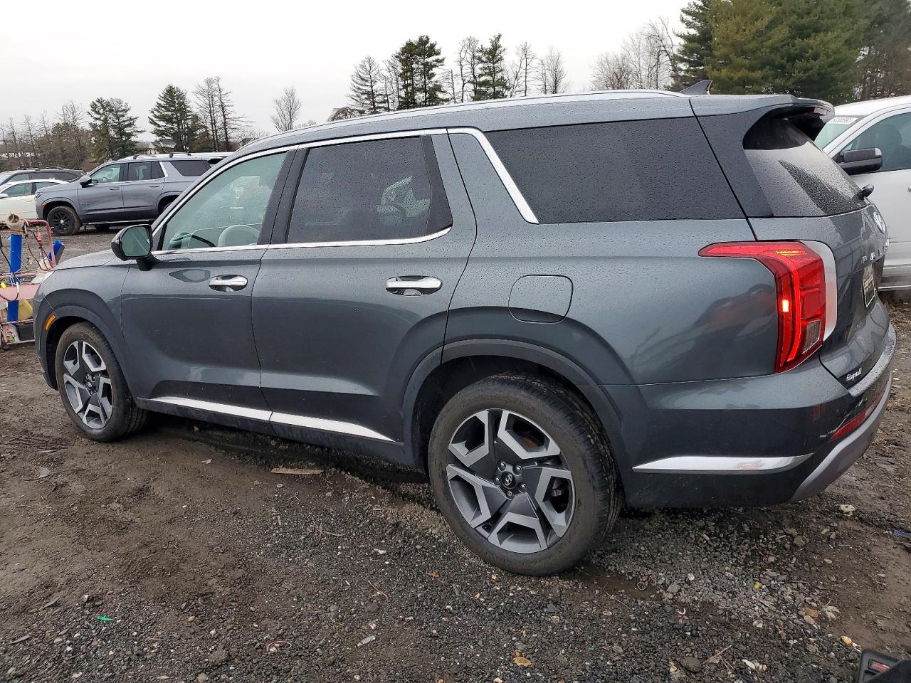 2024 HYUNDAI PALISADE LIMITED photo 2