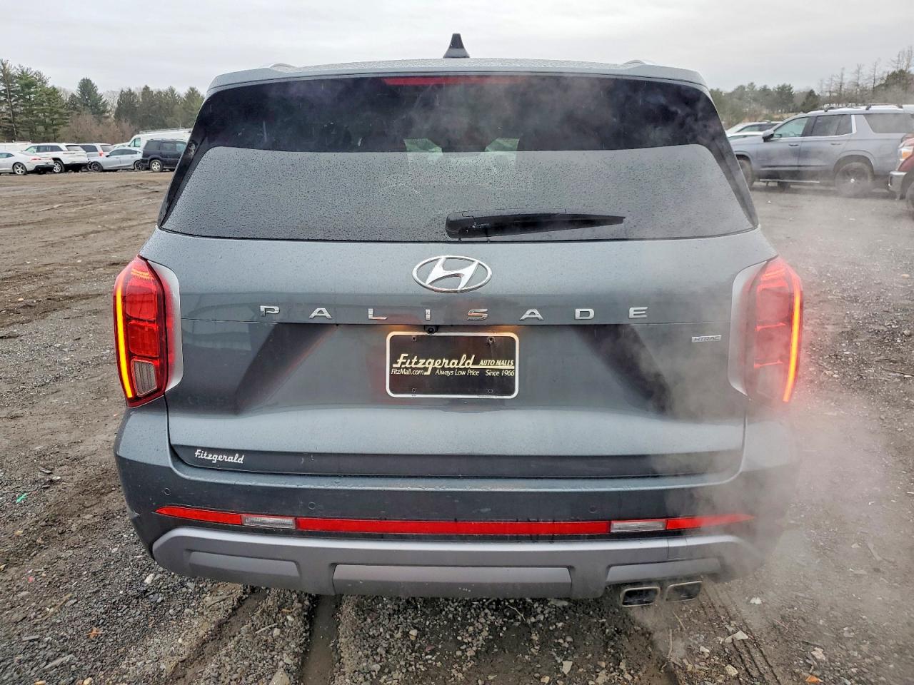 2024 HYUNDAI PALISADE LIMITED photo 6