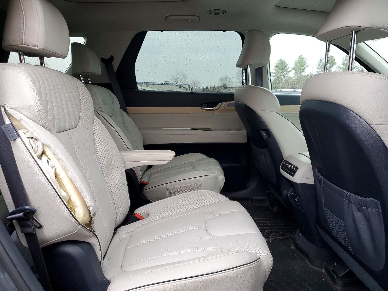 2024 HYUNDAI PALISADE LIMITED photo 11