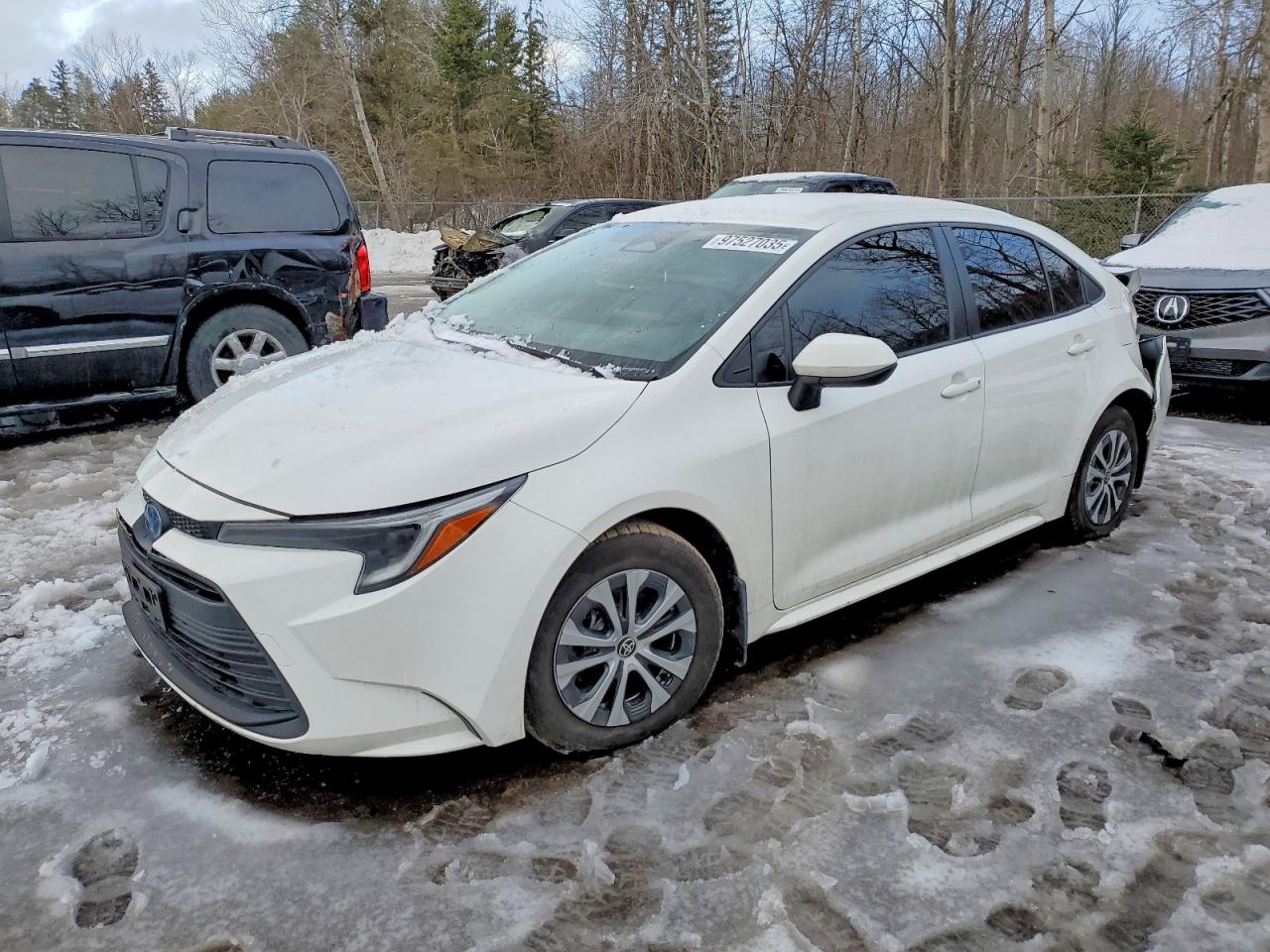 2023 TOYOTA COROLLA