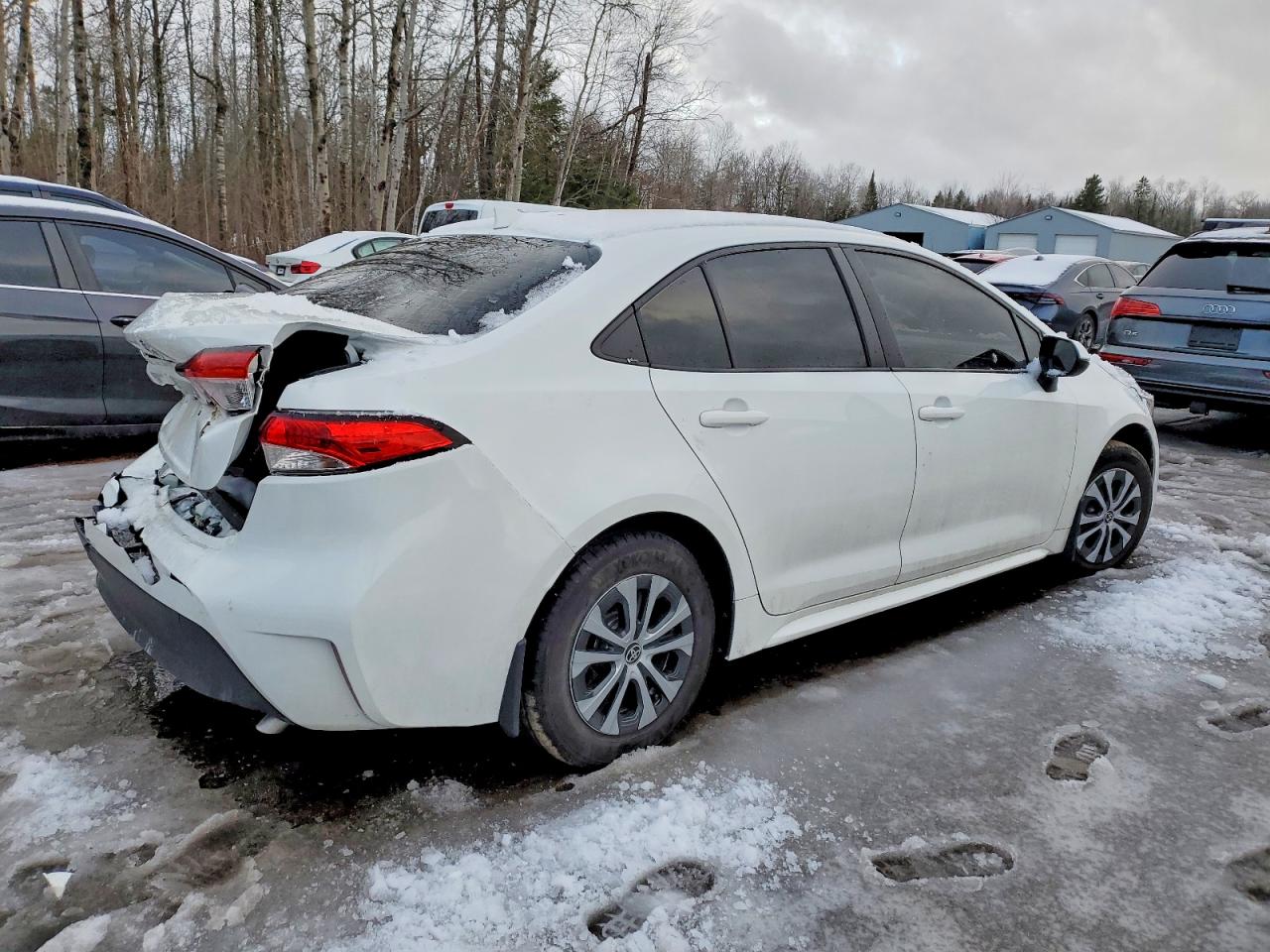 2023 TOYOTA COROLLA LE photo 3