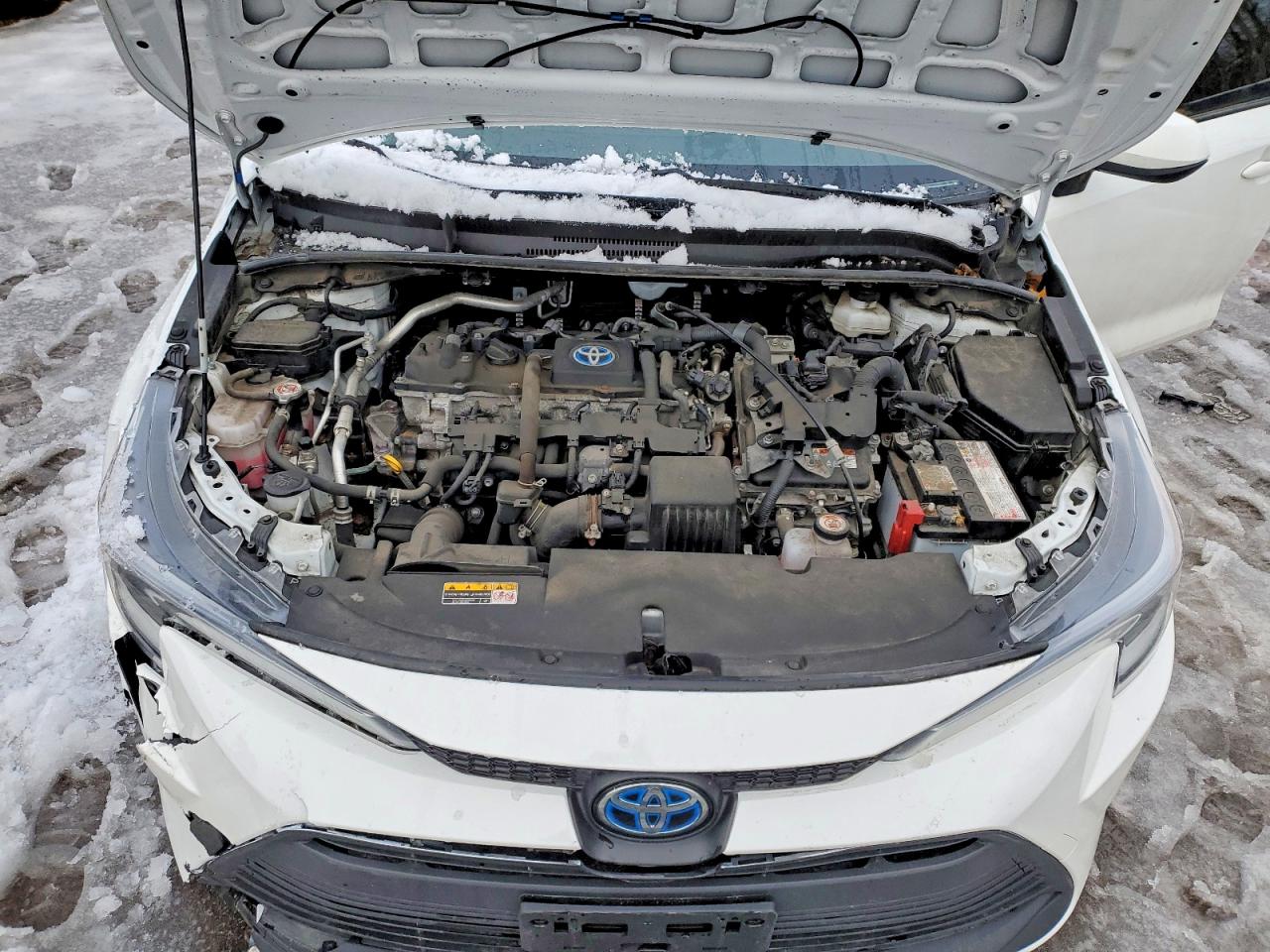 2023 TOYOTA COROLLA LE photo 11