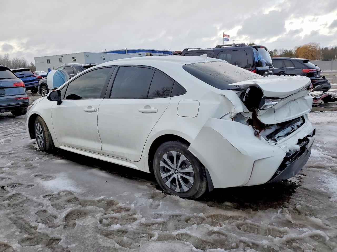 2023 TOYOTA COROLLA LE photo 2