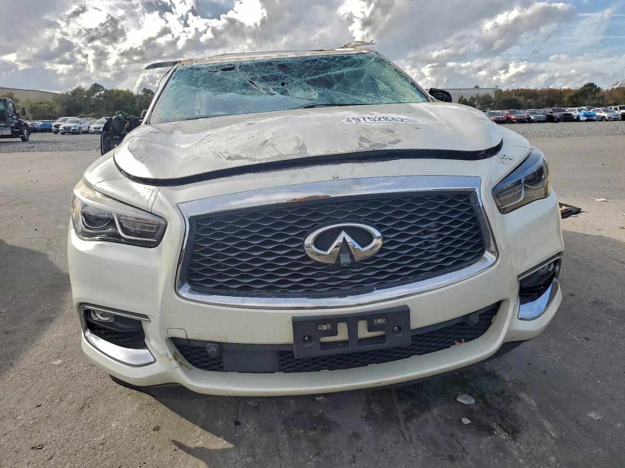 2020 INFINITI QX60 LUXE photo 13