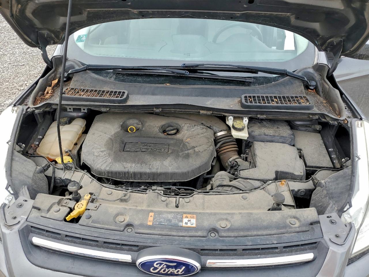 2014 FORD ESCAPE SE photo 12