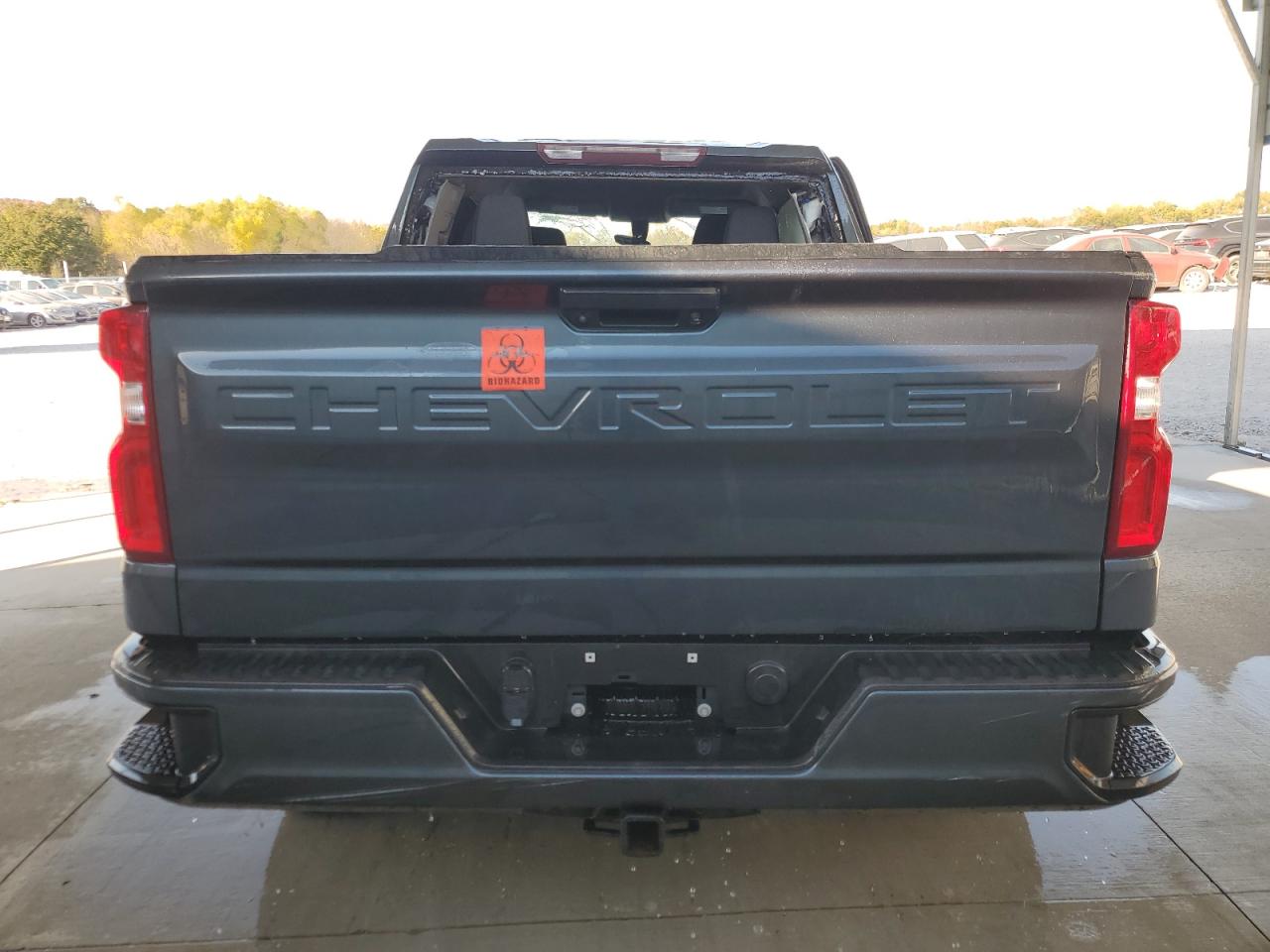 2020 CHEVROLET SILVERADO C1500 CUSTOM photo 6