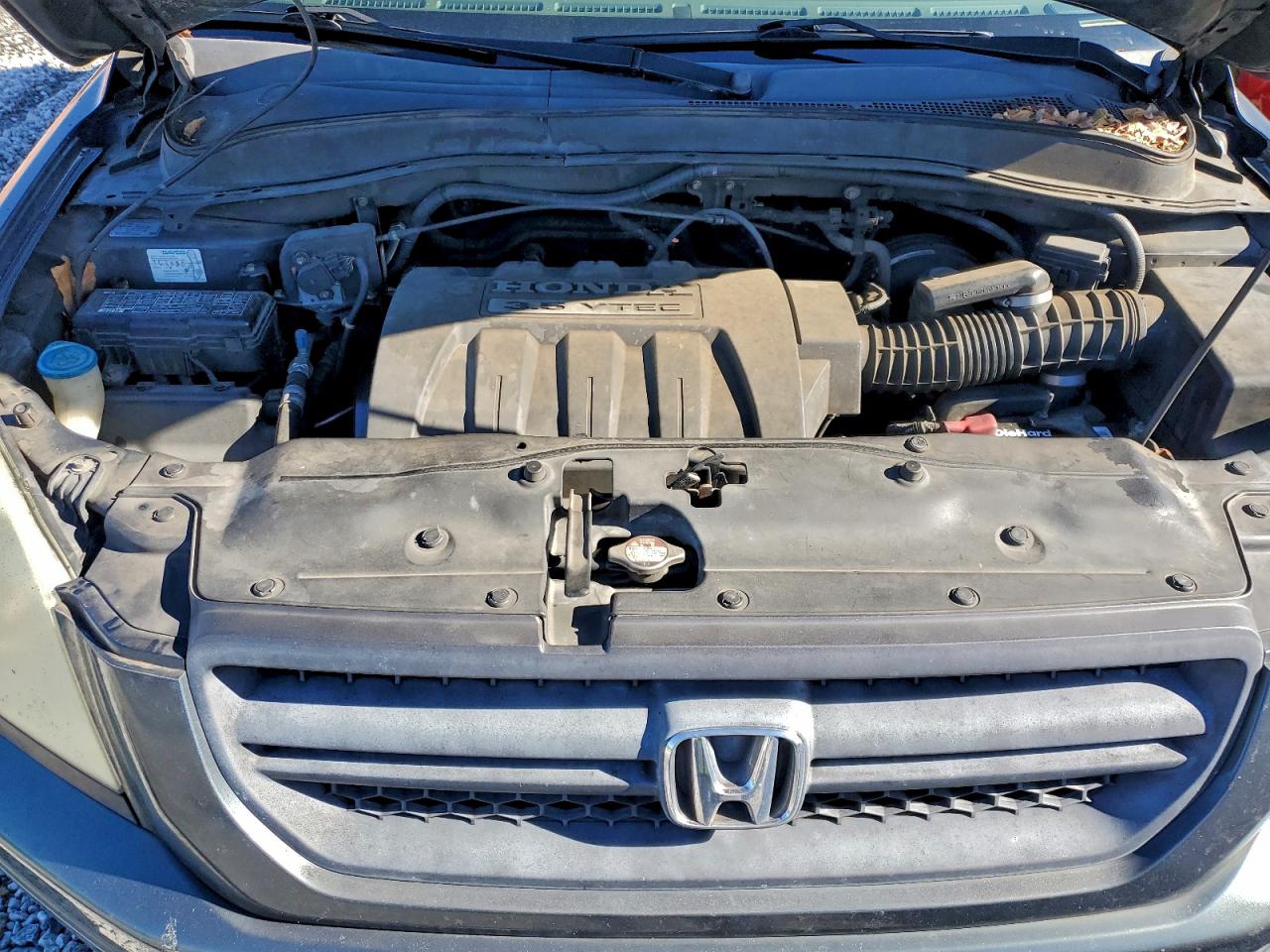 2005 HONDA PILOT EXL photo 12