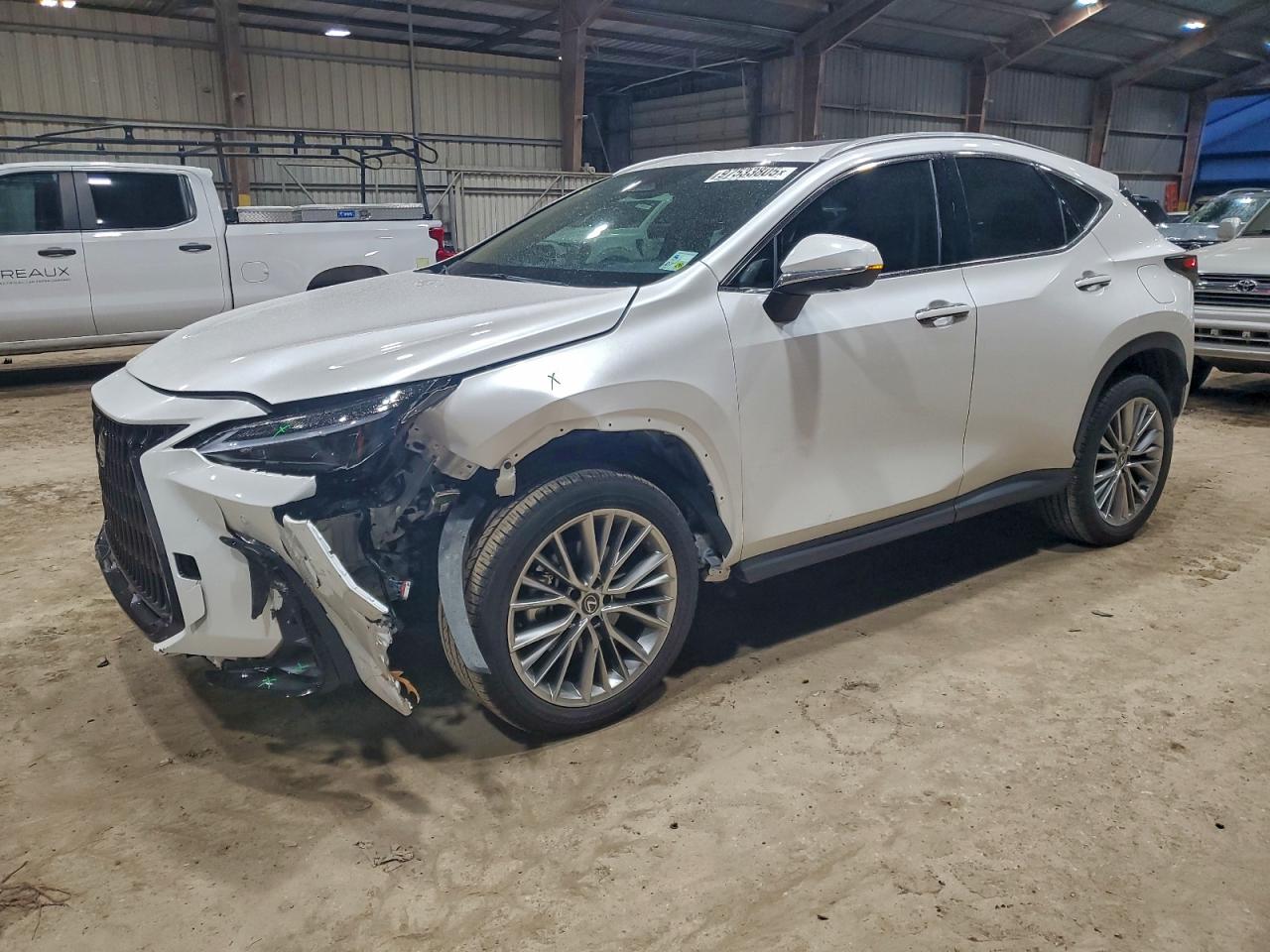2025 LEXUS NX