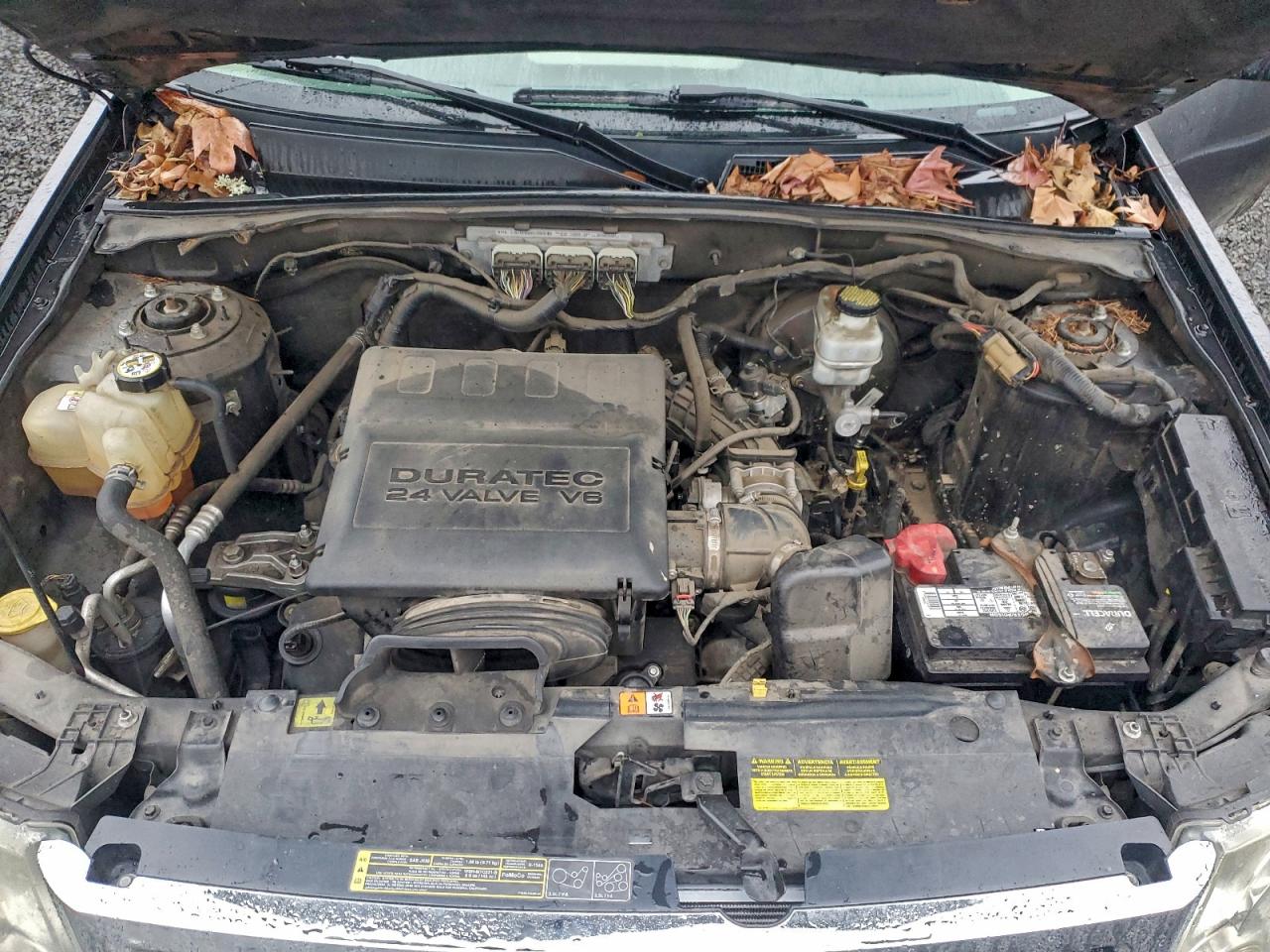 2010 FORD ESCAPE XLT photo 12