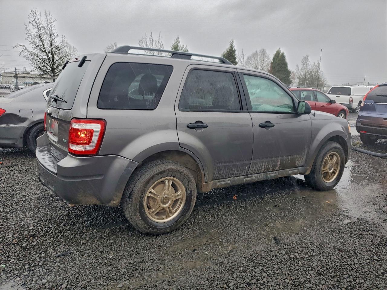 2010 FORD ESCAPE XLT photo 3