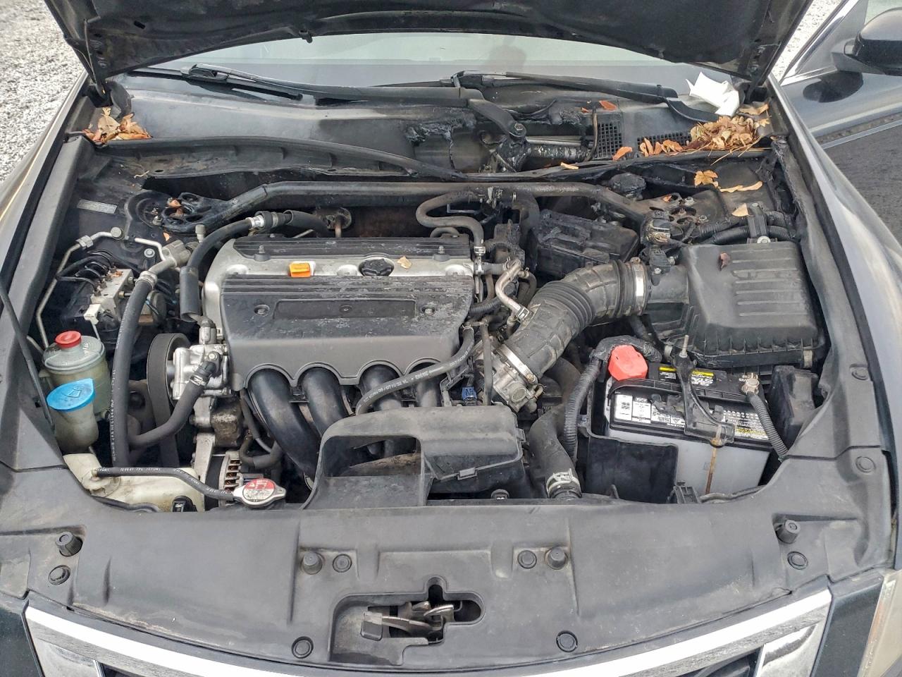 2008 HONDA ACCORD EXL photo 11