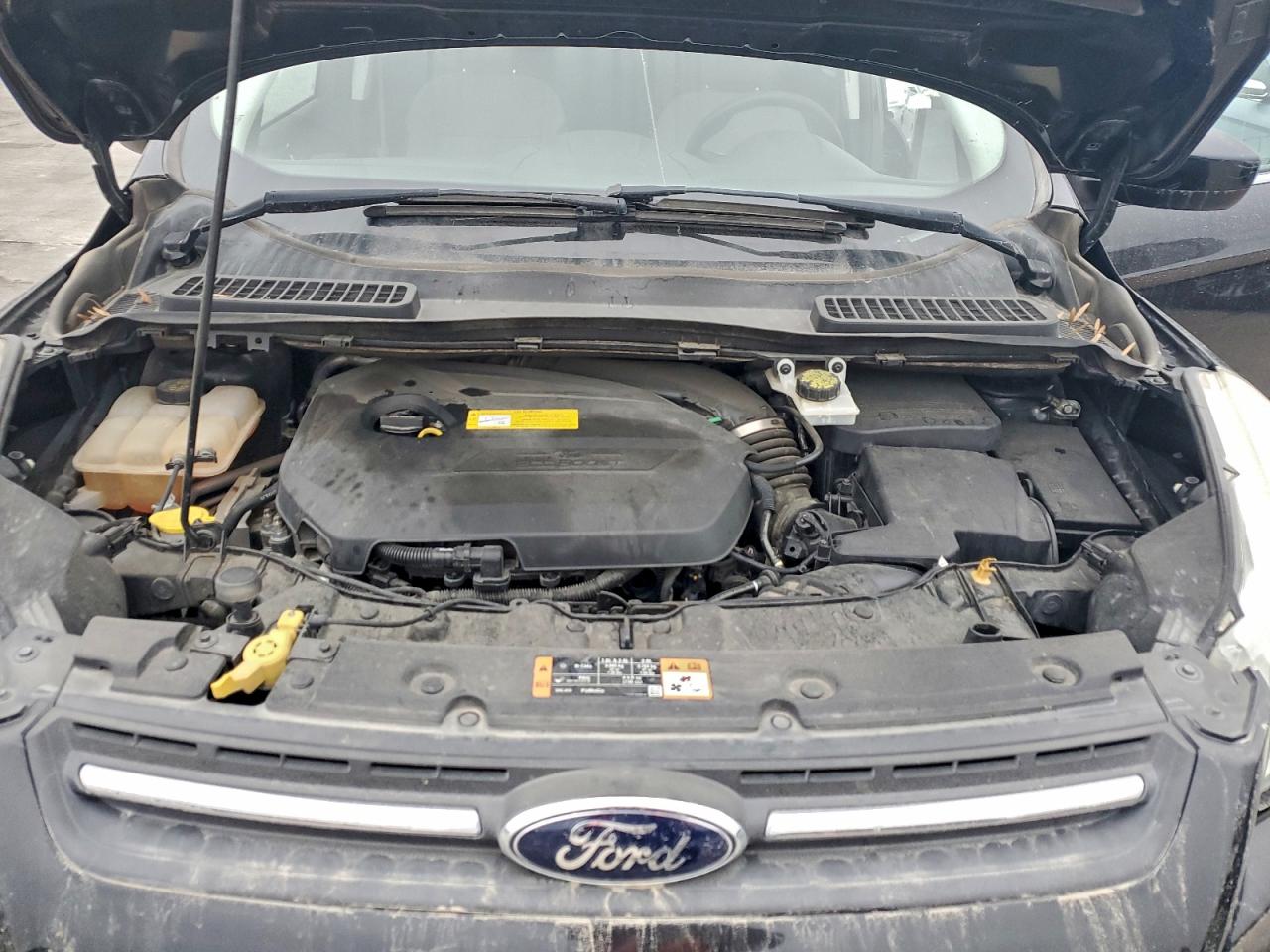 2015 FORD ESCAPE SE photo 12
