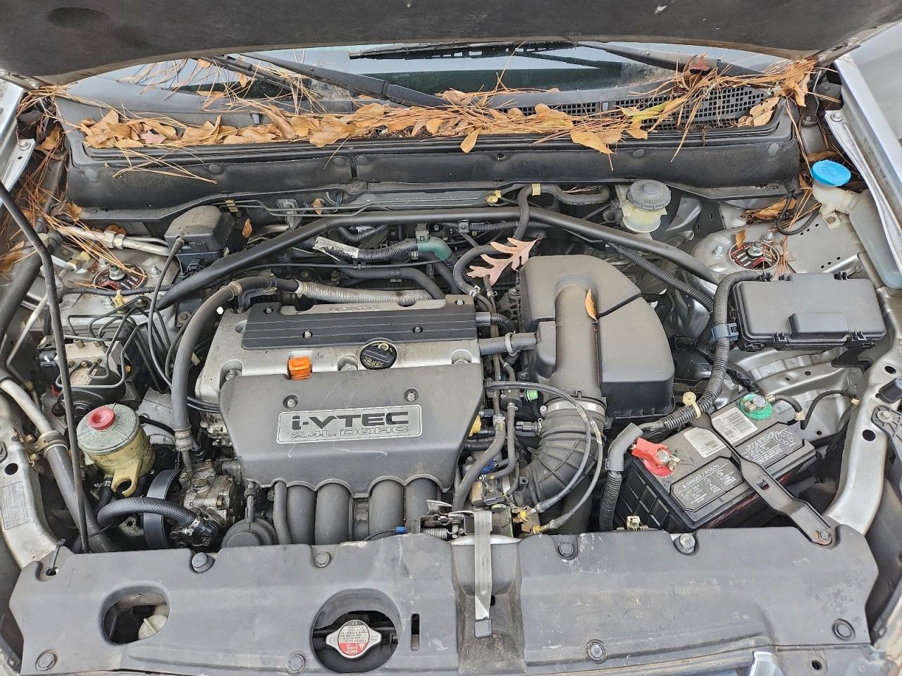 2002 HONDA CR-V EX photo 12
