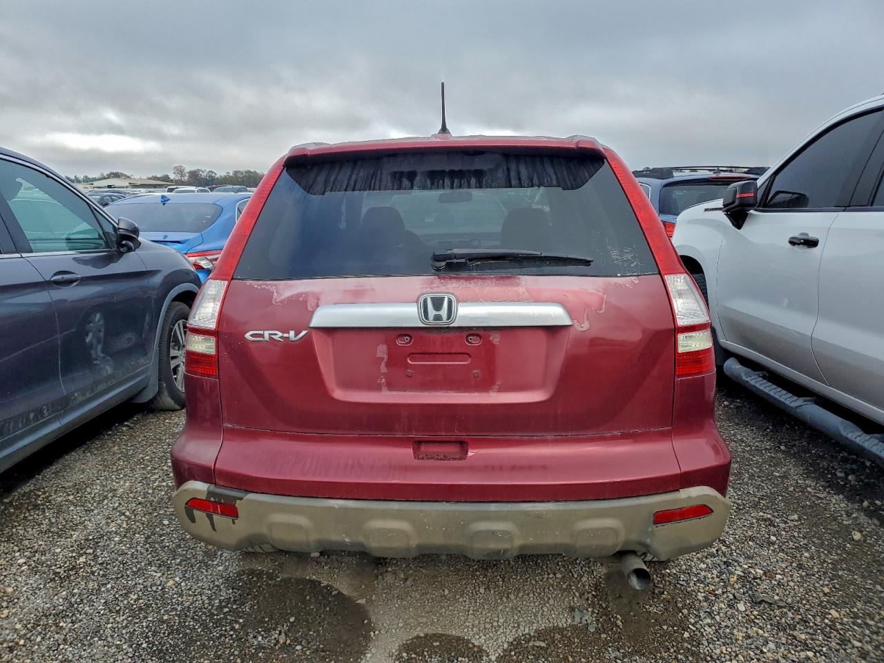 2008 HONDA CR-V EX photo 6