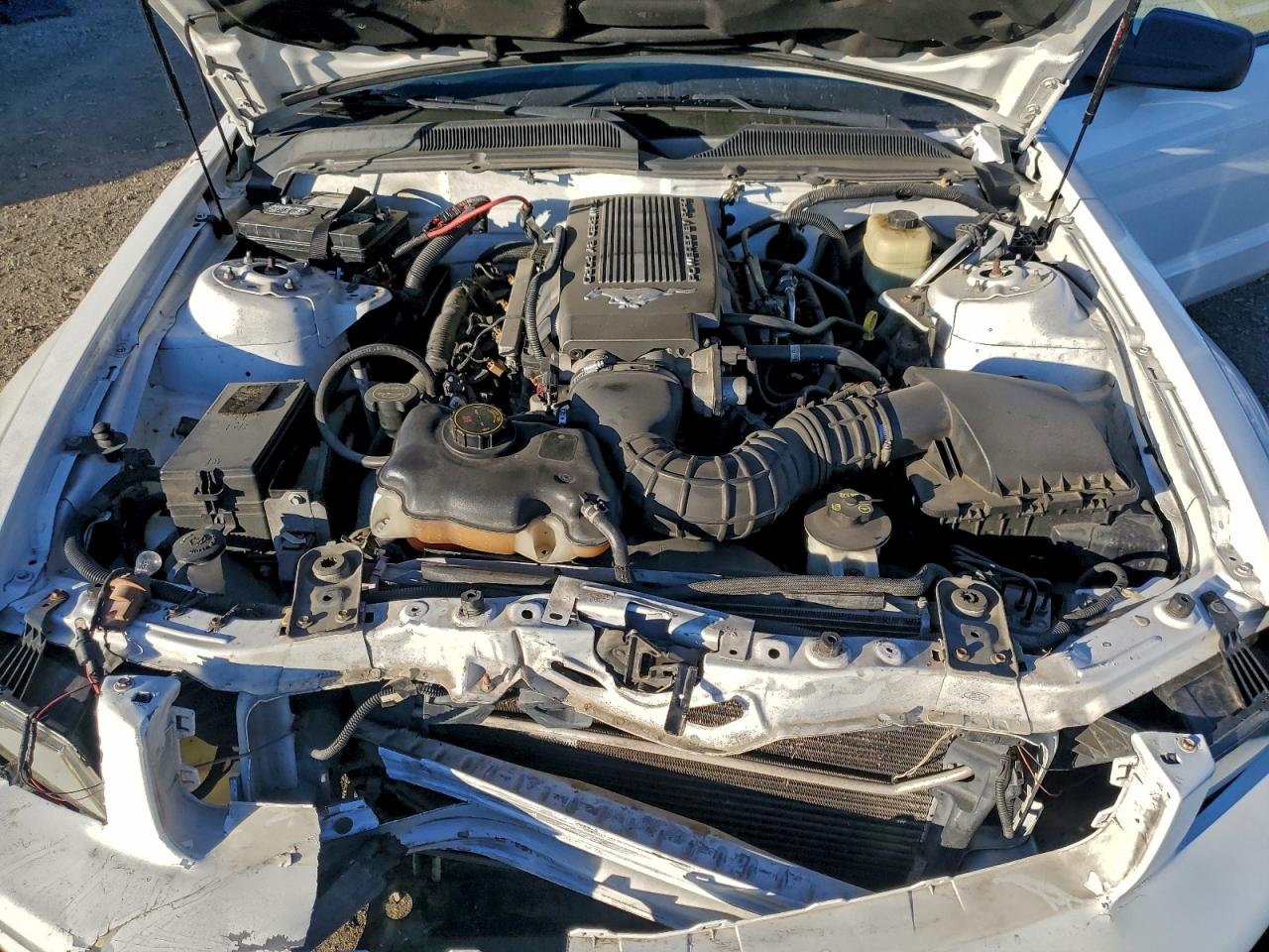 2006 FORD MUSTANG GT photo 11