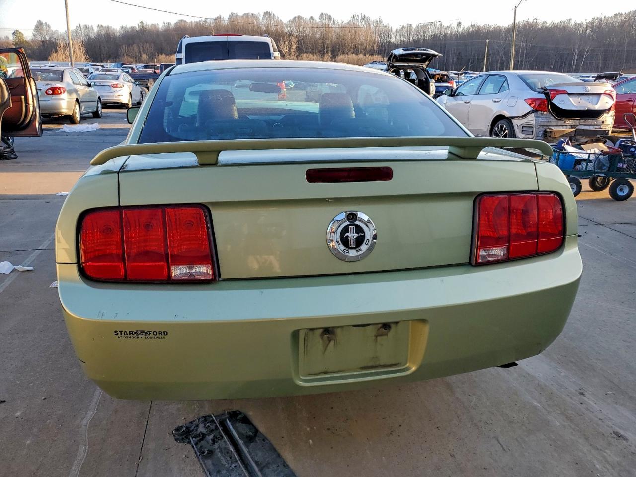 2005 FORD MUSTANG photo 6