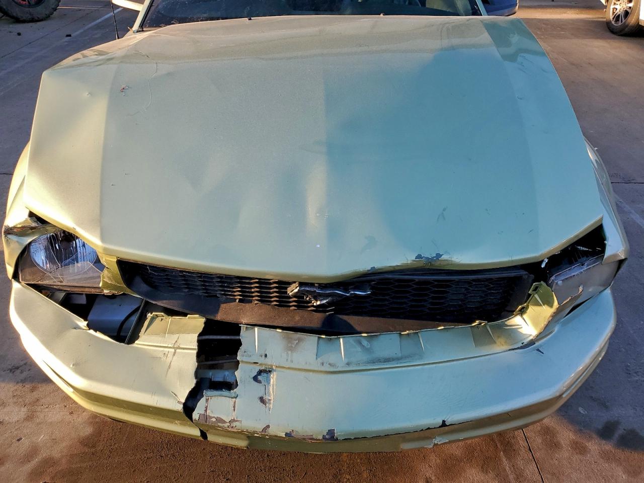 2005 FORD MUSTANG photo 11