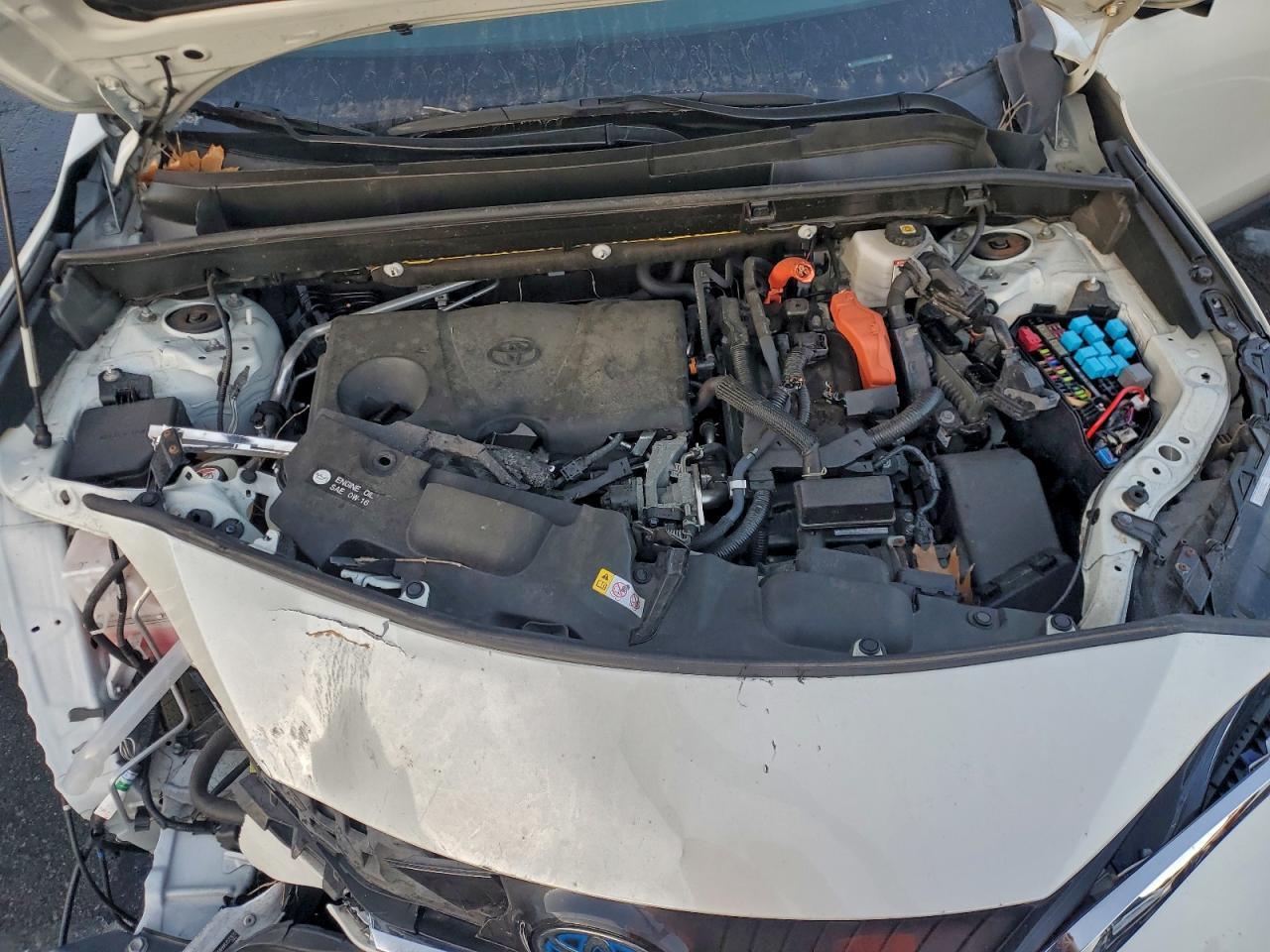 2021 TOYOTA VENZA LE photo 12