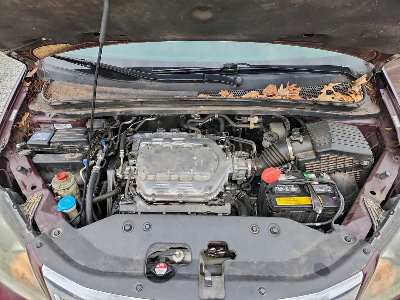 2010 HONDA ODYSSEY EXL photo 12