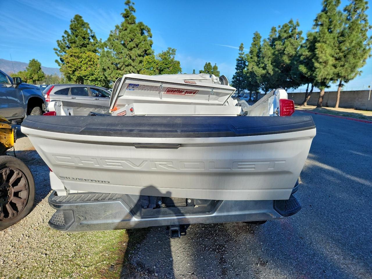 2024 CHEVROLET SILVERADO C1500 photo 6