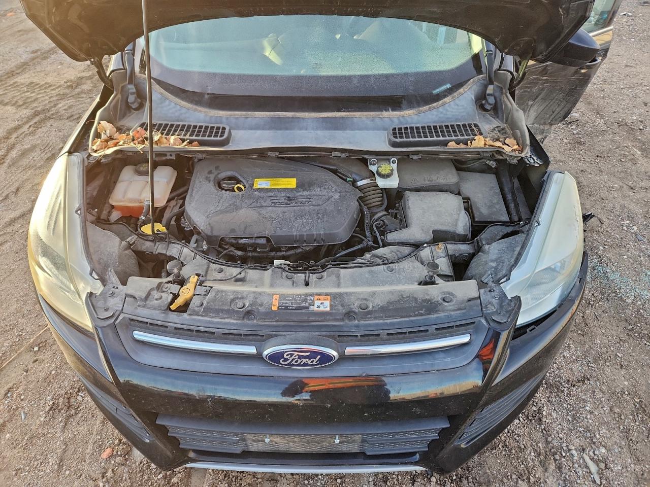 2016 FORD ESCAPE SE photo 12