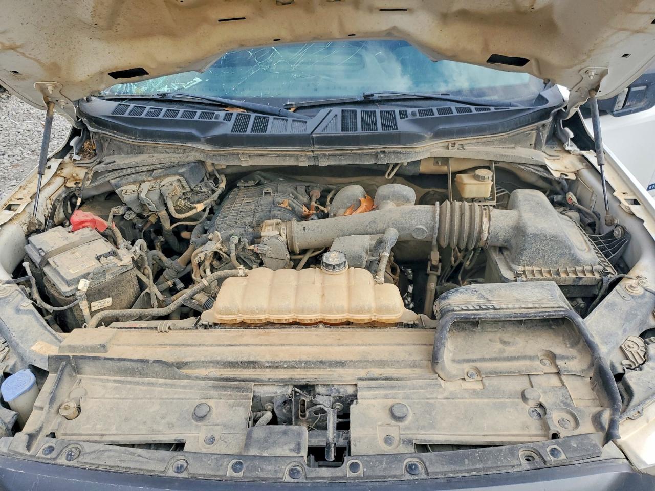 2021 FORD F150 photo 11