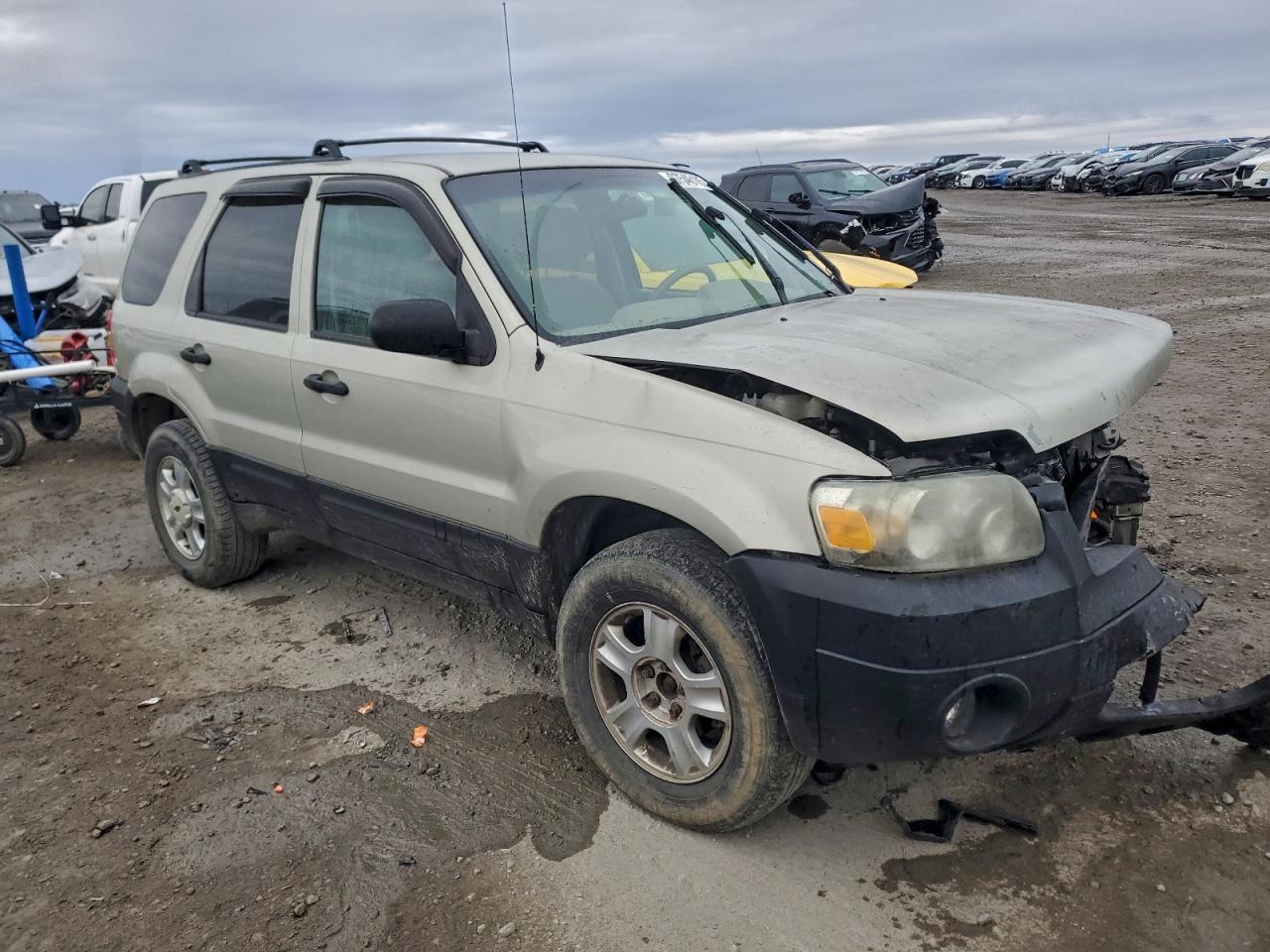 2005 FORD ESCAPE XLT photo 4