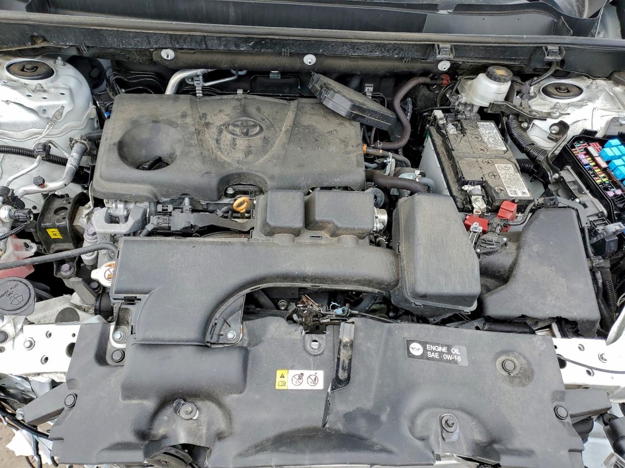 2024 TOYOTA RAV4 XLE photo 12
